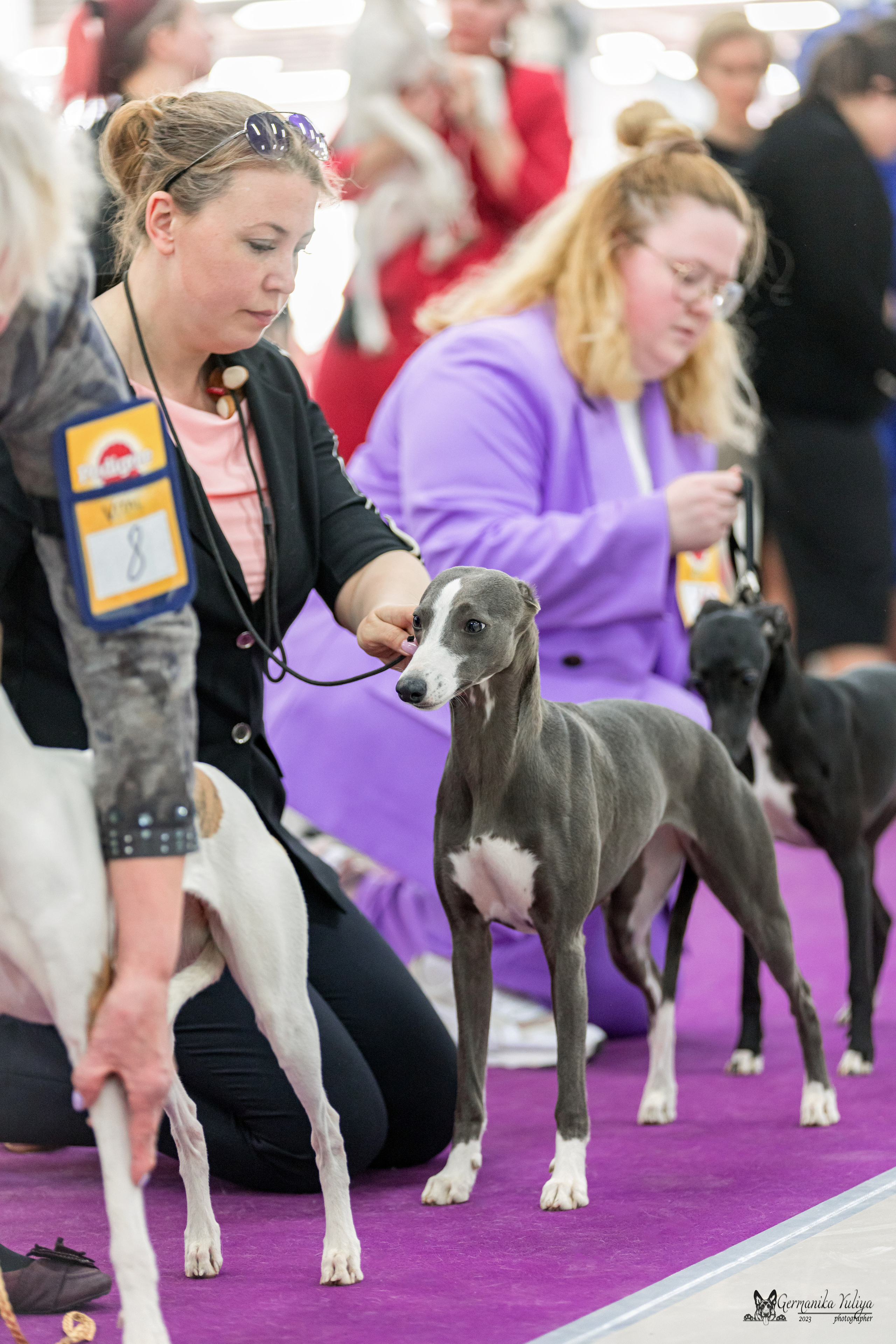 Сфера+МД 8-9.04.2023. Фотограф-анималист Юлия Германика