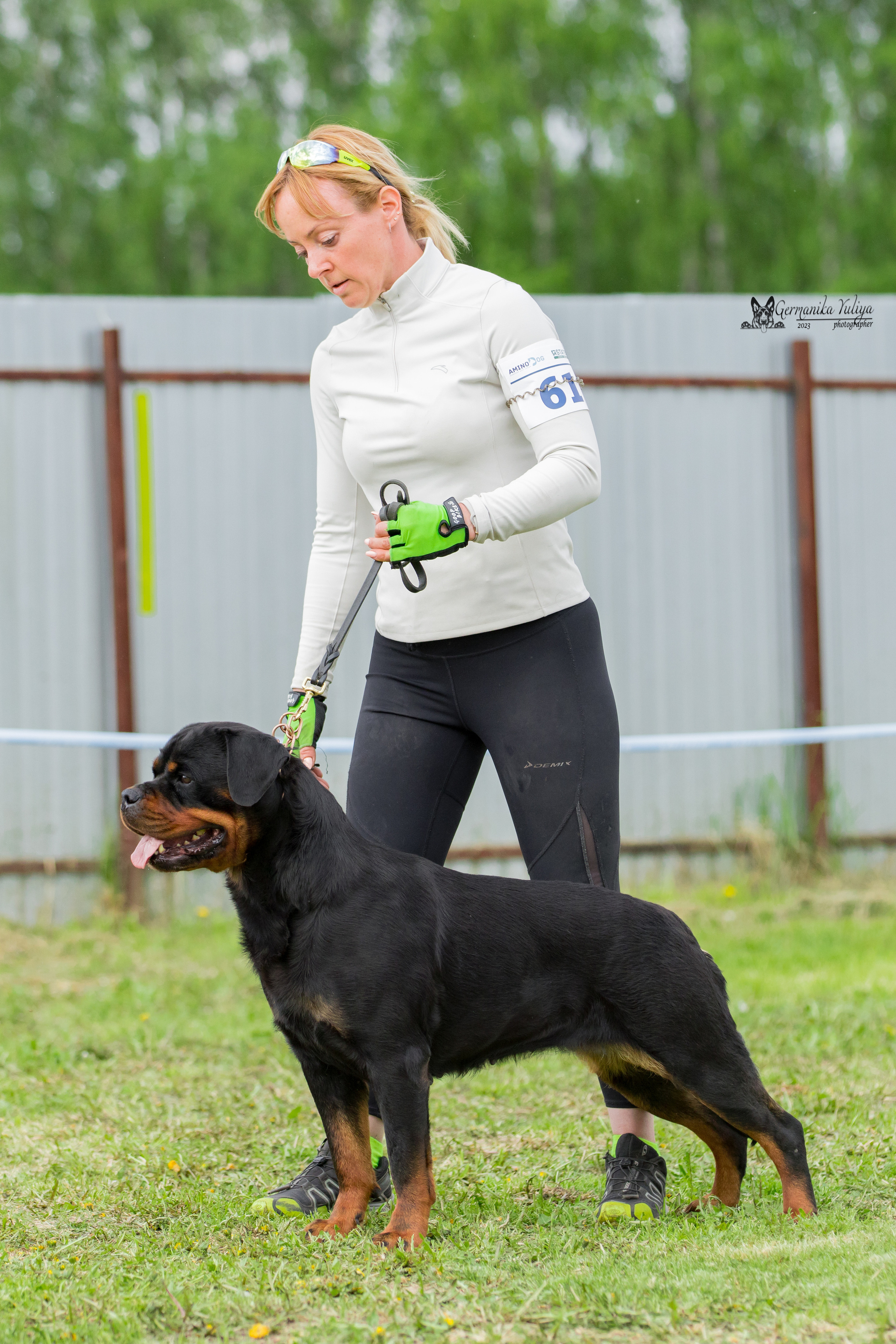 Нижний Новгород моно ротвейлеров 13.05.2023. Фотограф-анималист Юлия Германика