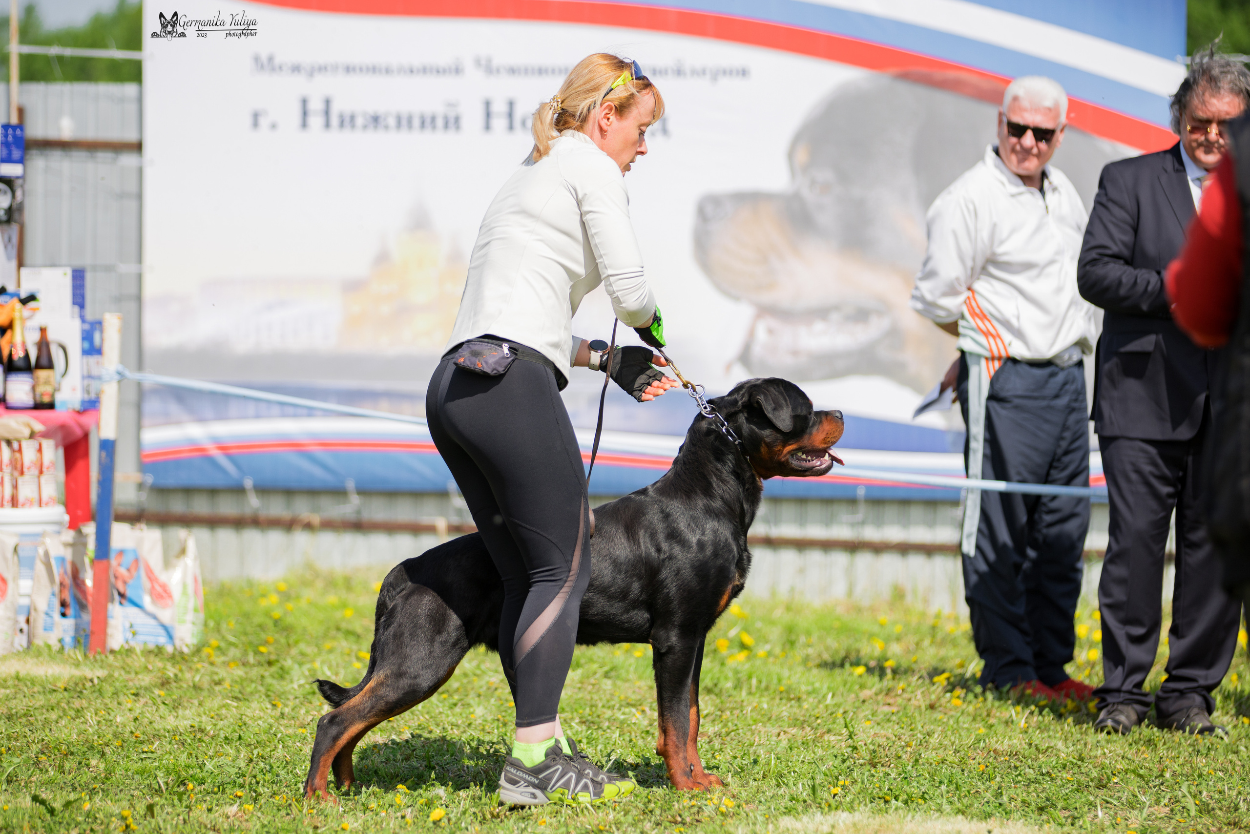 Нижний Новгород моно ротвейлеров 13.05.2023. Фотограф-анималист Юлия Германика