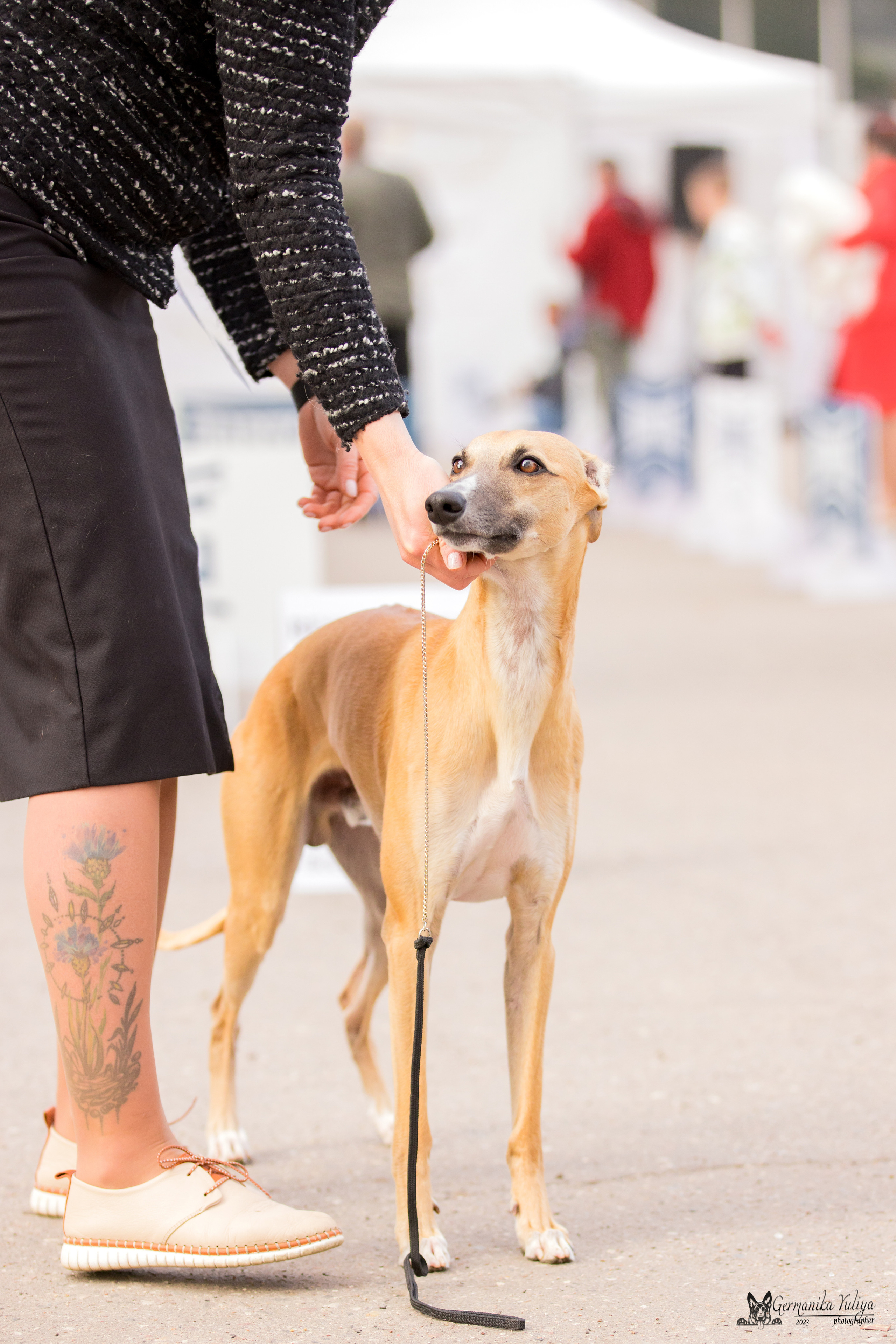 Измайлово 21.05.2023. Фотограф-анималист Юлия Германика