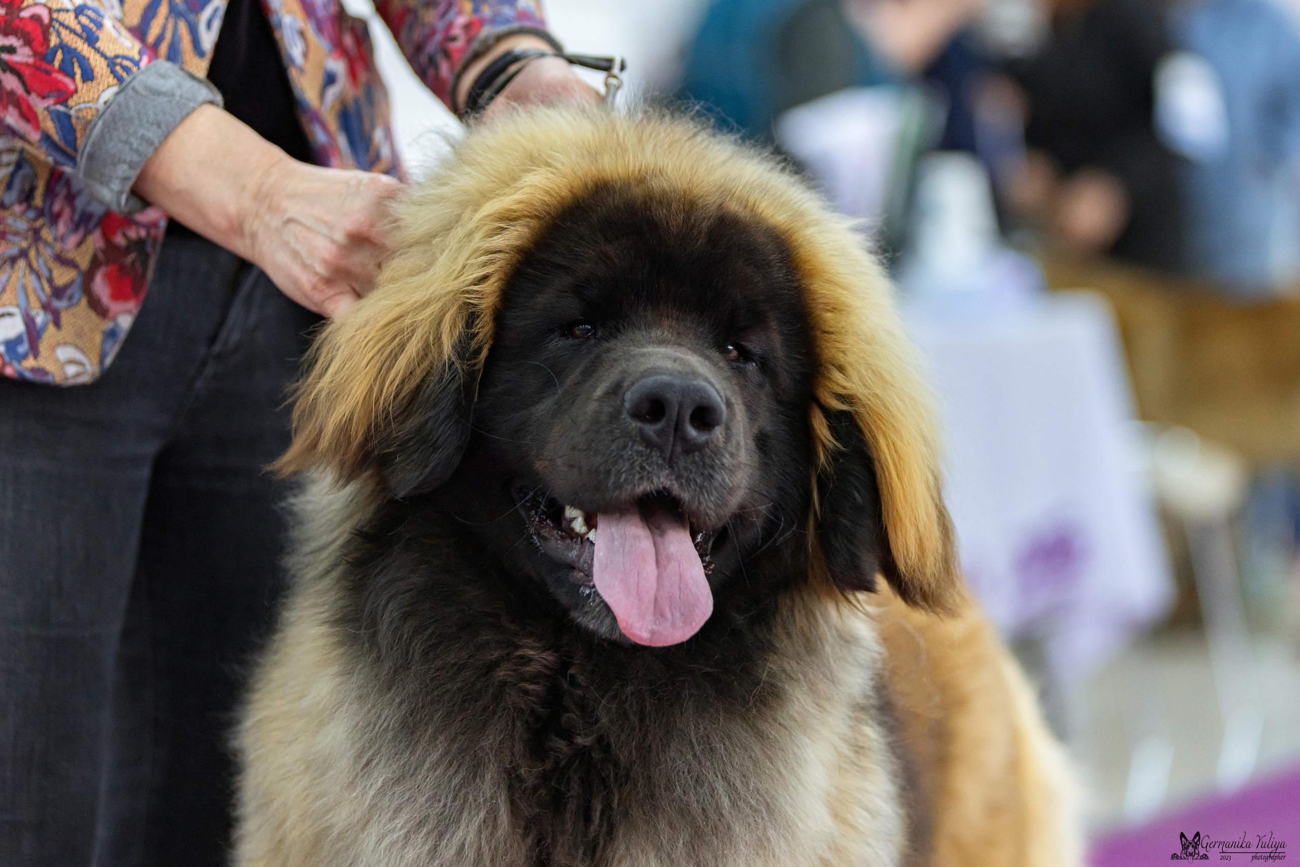 МД 15.04.2023. Фотограф-анималист Юлия Германика