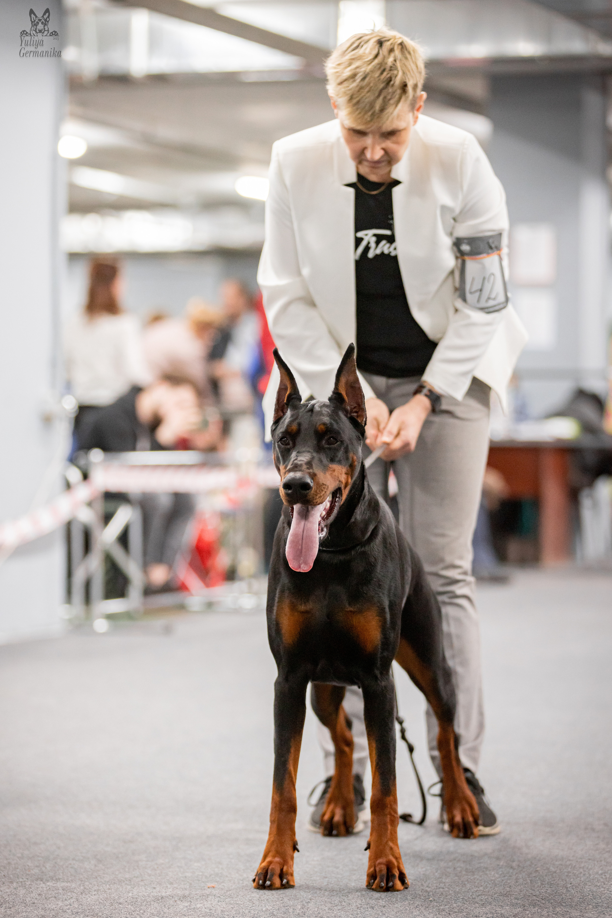 Сфера+доберманы 02.04.2023. Фотограф-анималист Юлия Германика