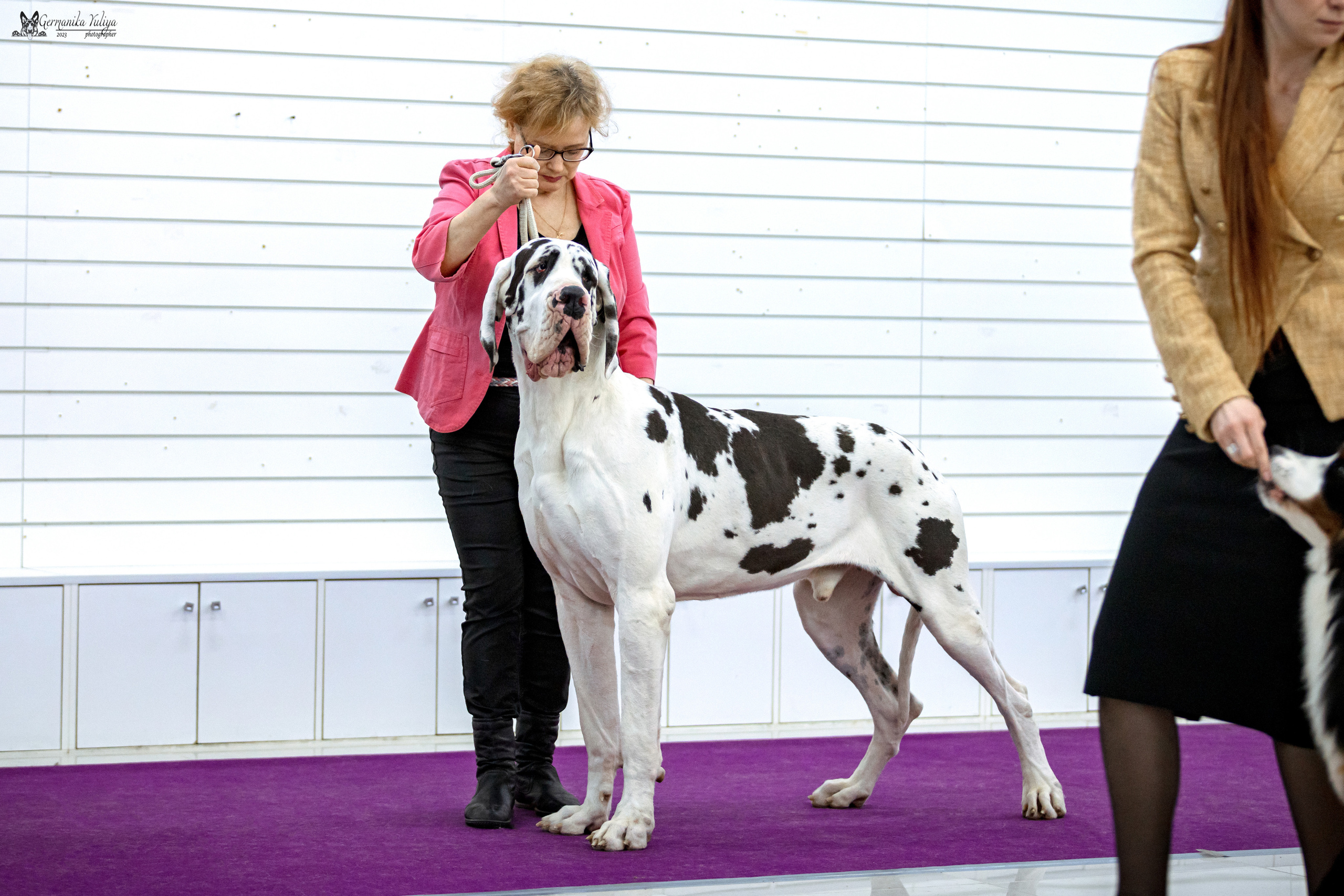 Сфера+МД 8-9.04.2023. Фотограф-анималист Юлия Германика