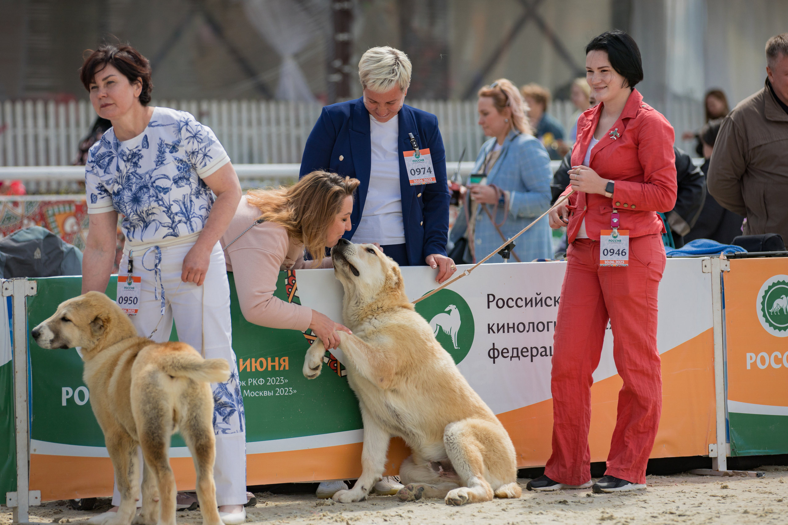 Россия 10-11.06.2023. Фотограф-анималист Юлия Германика