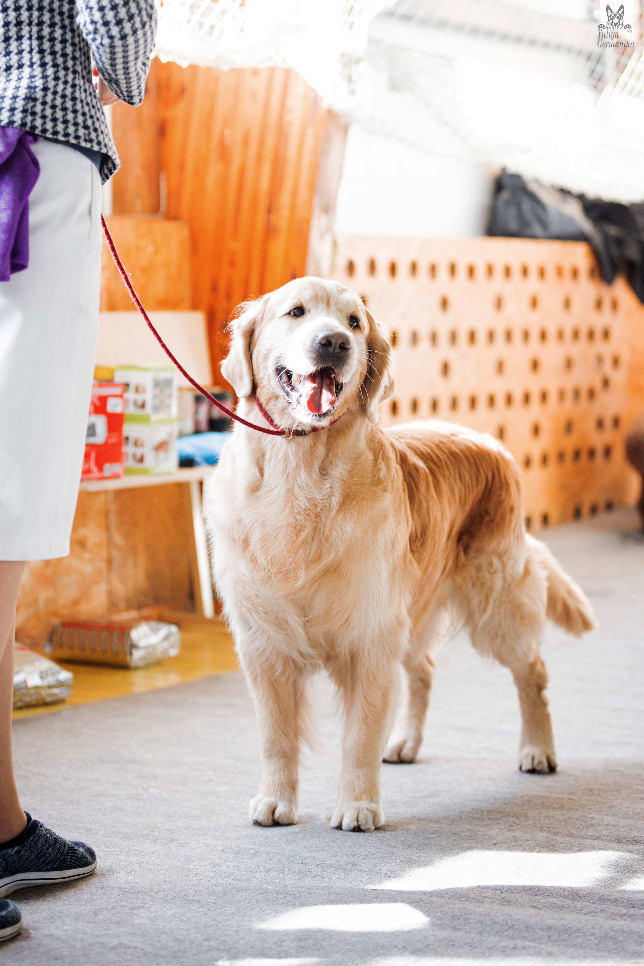 Тверь 01.04.2023. Фотограф-анималист Юлия Германика