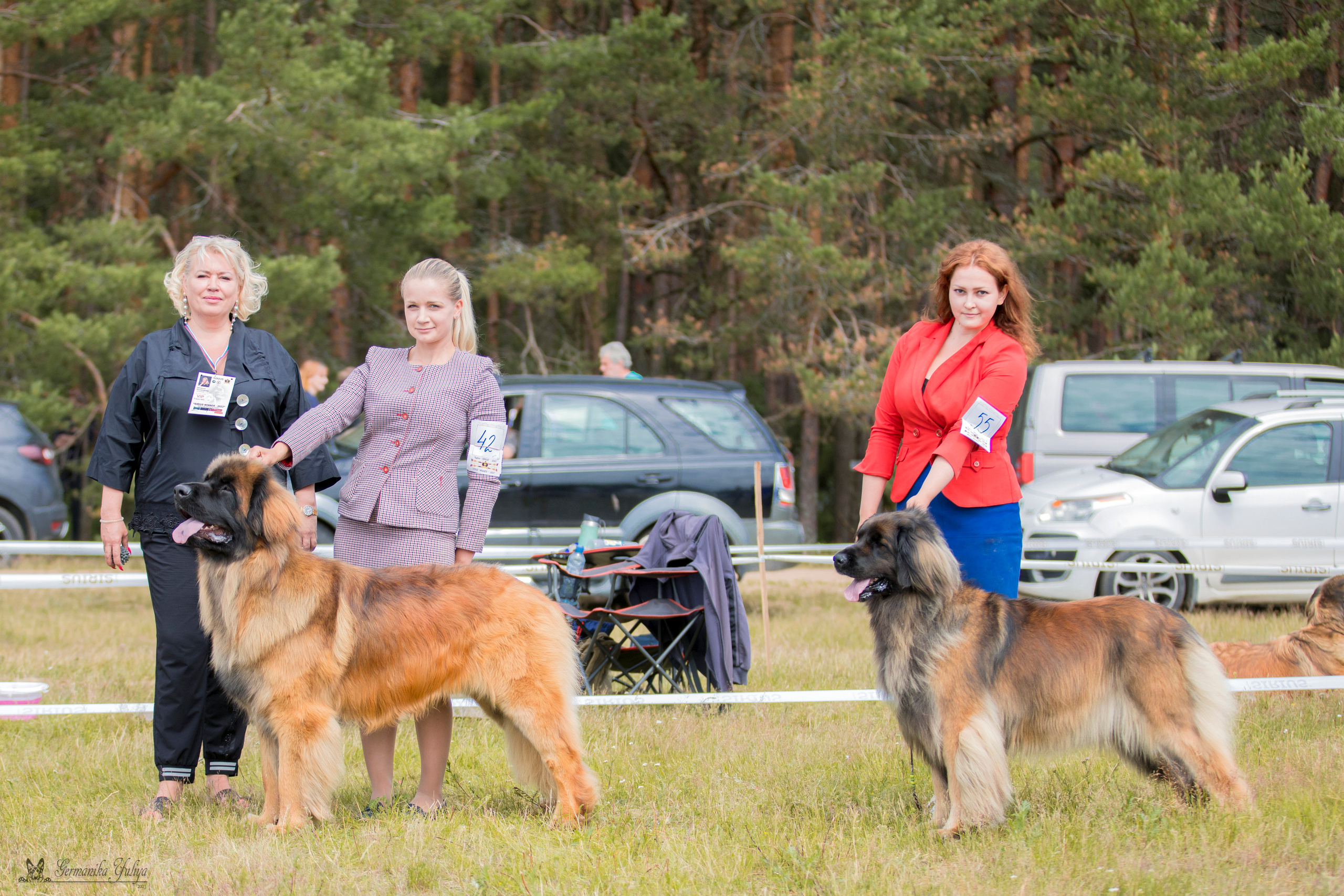 Волжанка 8.07.2023. Фотограф-анималист Юлия Германика