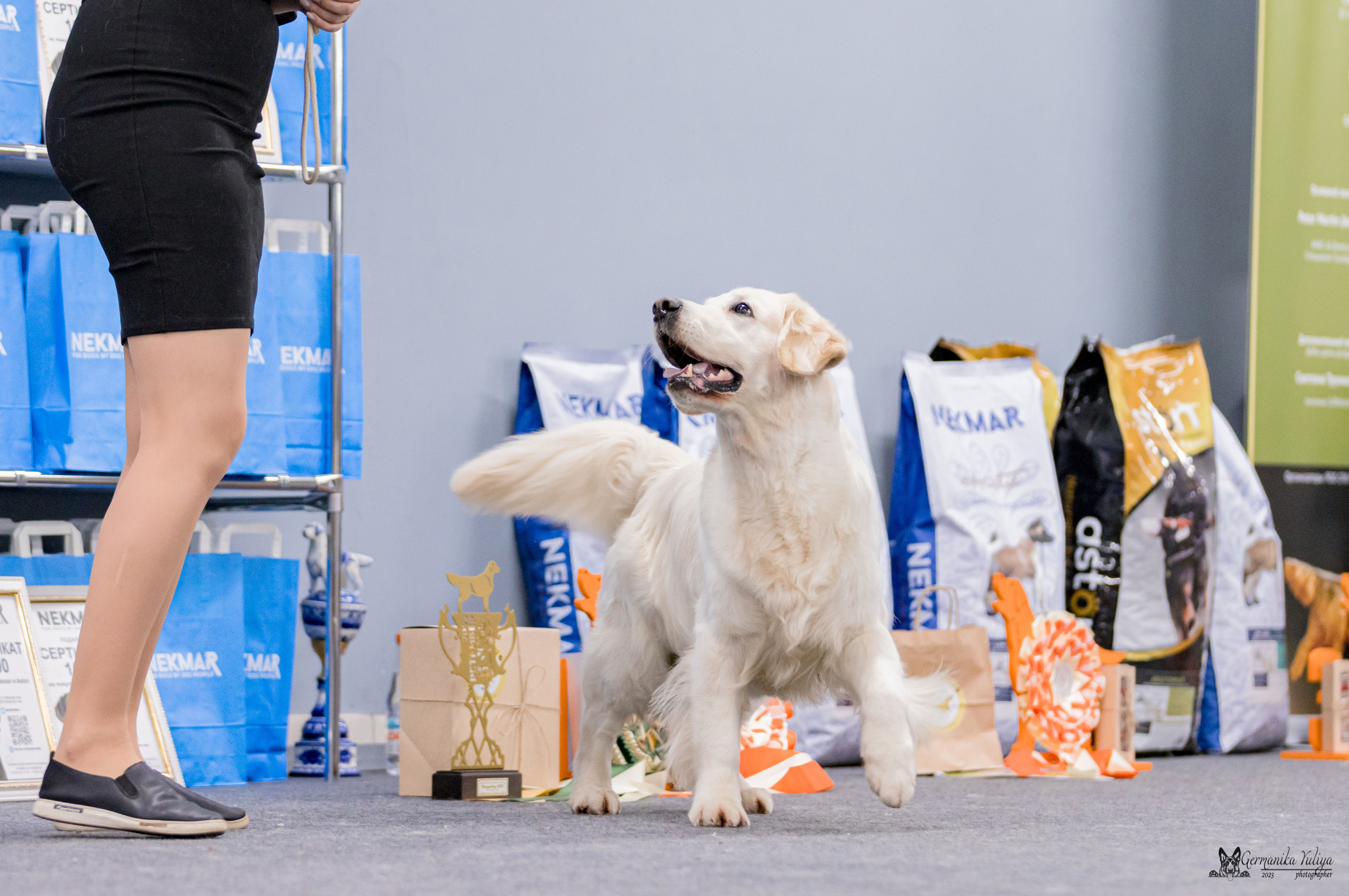 Сфера+МД 8-9.04.2023. Фотограф-анималист Юлия Германика