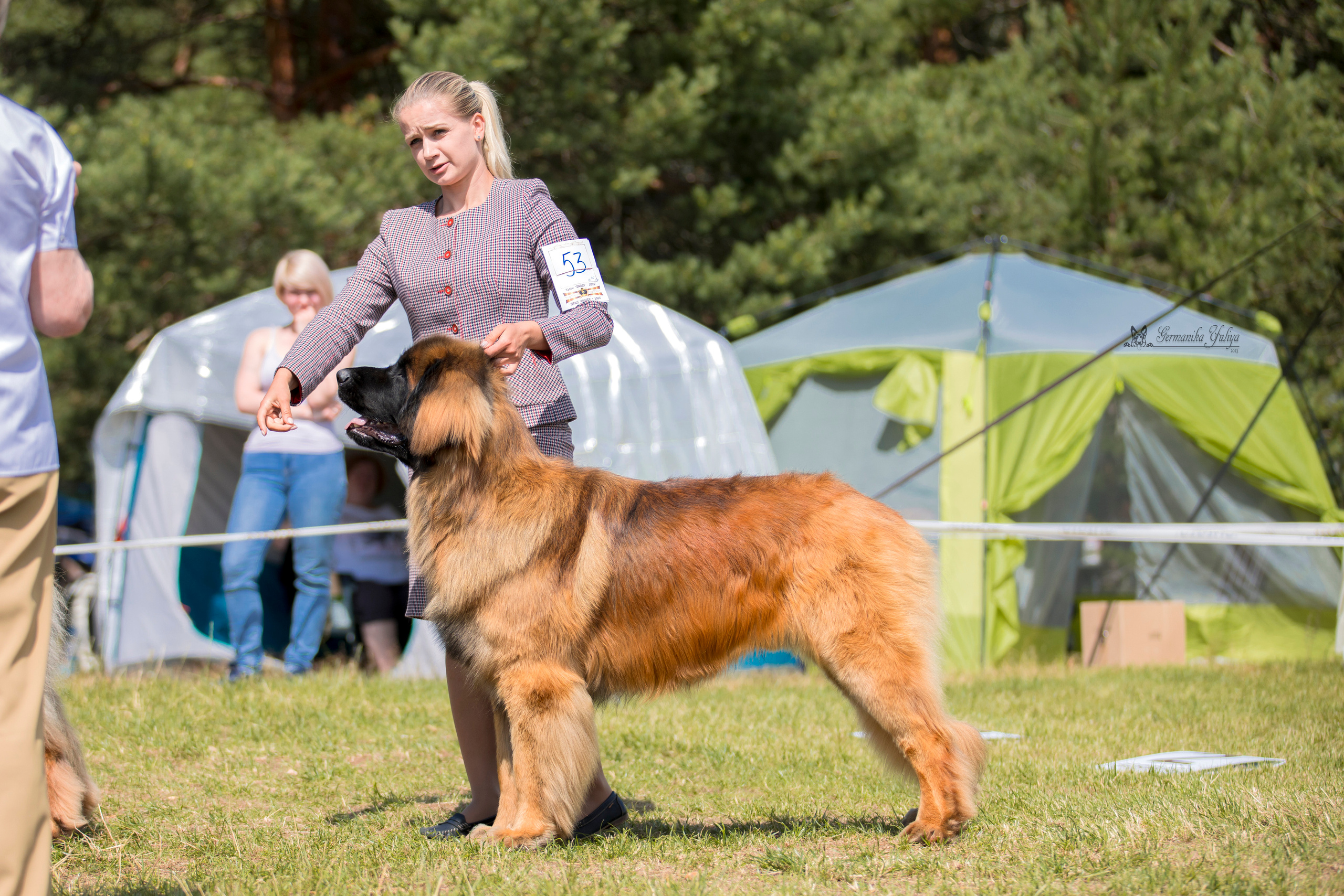 Волжанка 8.07.2023. Фотограф-анималист Юлия Германика