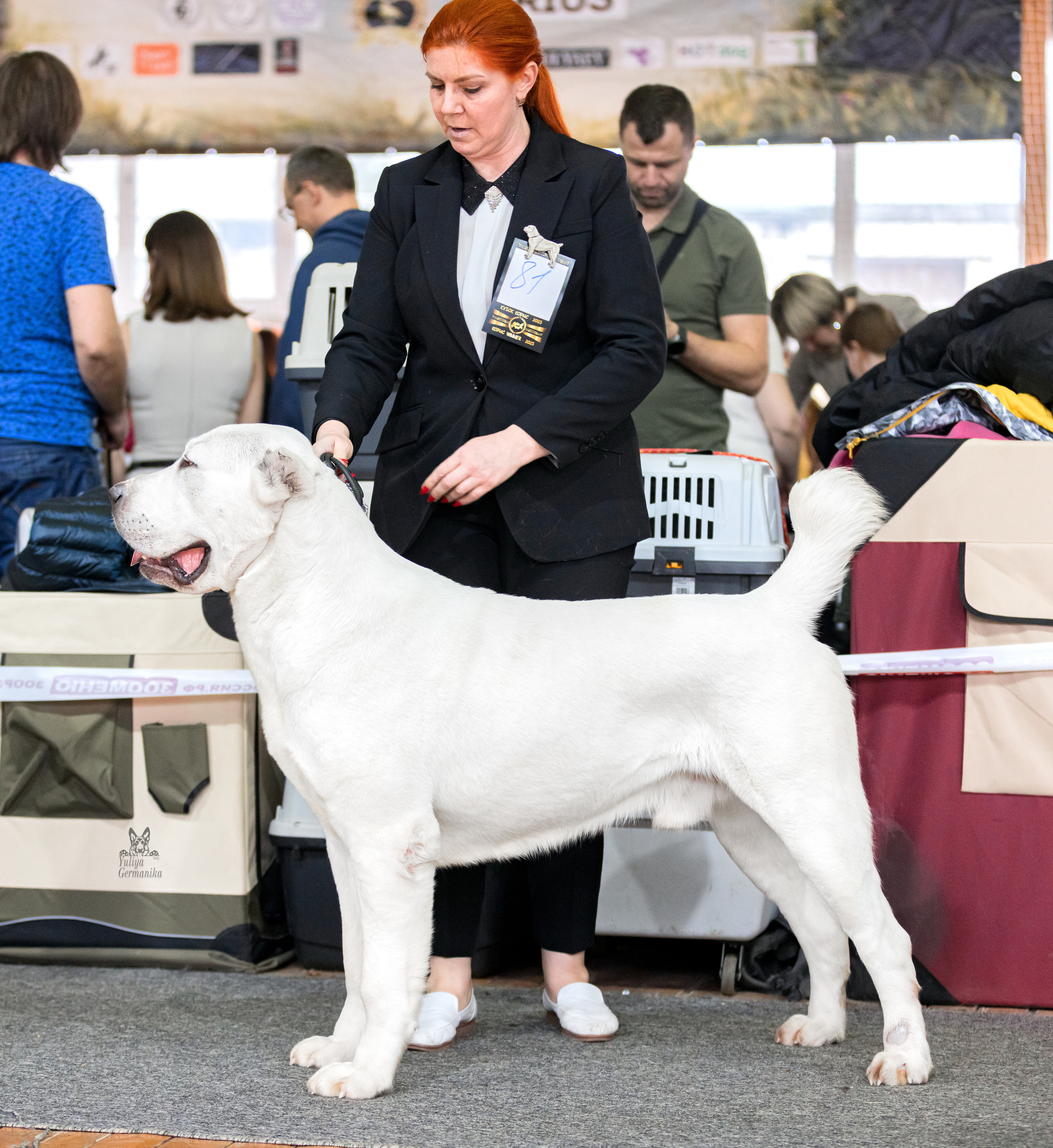 Тверь 01.04.2023. Фотограф-анималист Юлия Германика