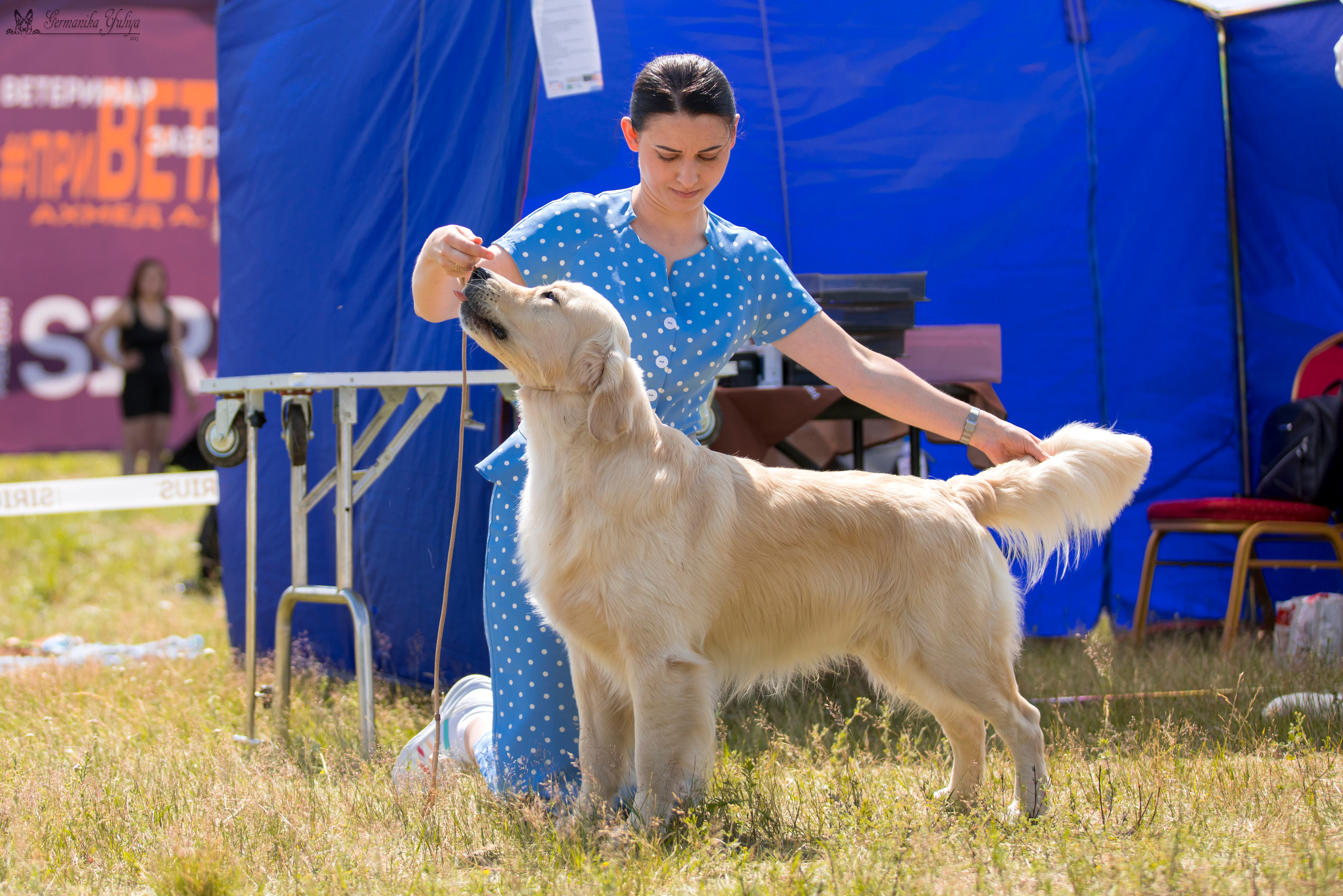 Волжанка 8.07.2023. Фотограф-анималист Юлия Германика