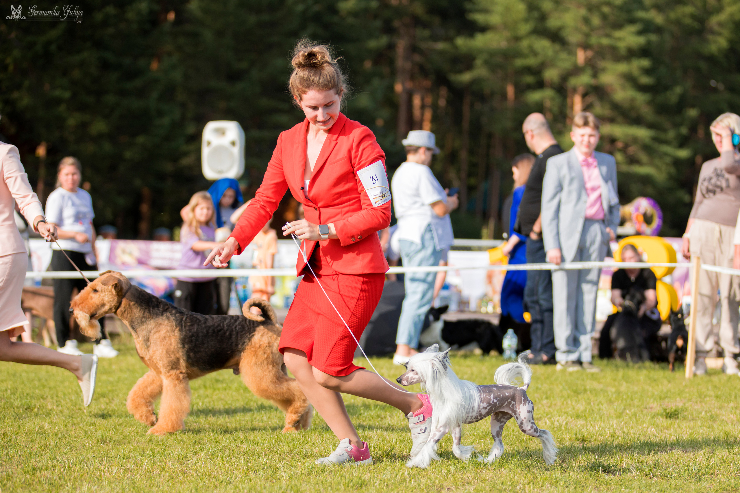 Волжанка 8.07.2023. Фотограф-анималист Юлия Германика