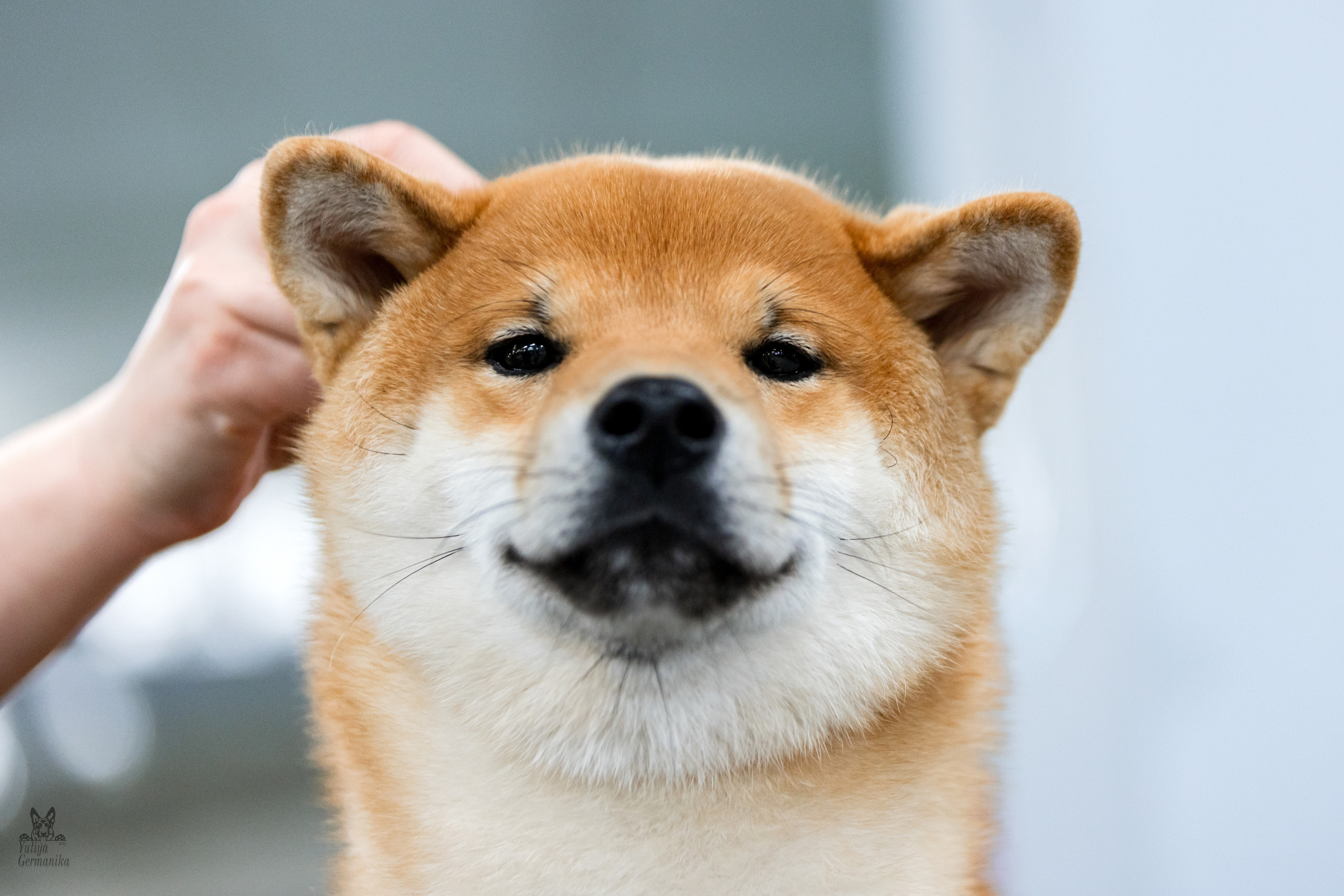 Сфера 25-26.03.2023. Фотограф-анималист Юлия Германика