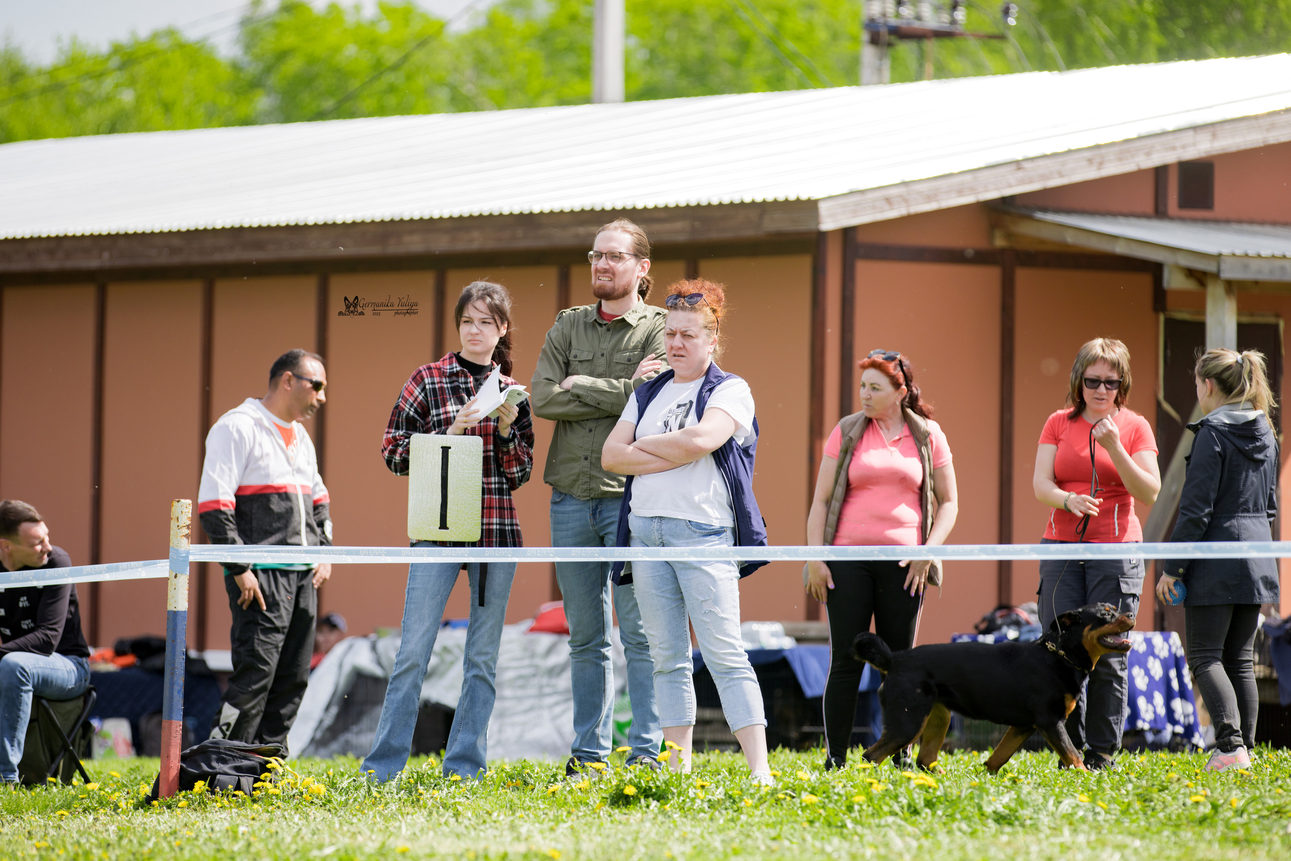 Нижний Новгород моно ротвейлеров 13.05.2023. Фотограф-анималист Юлия Германика