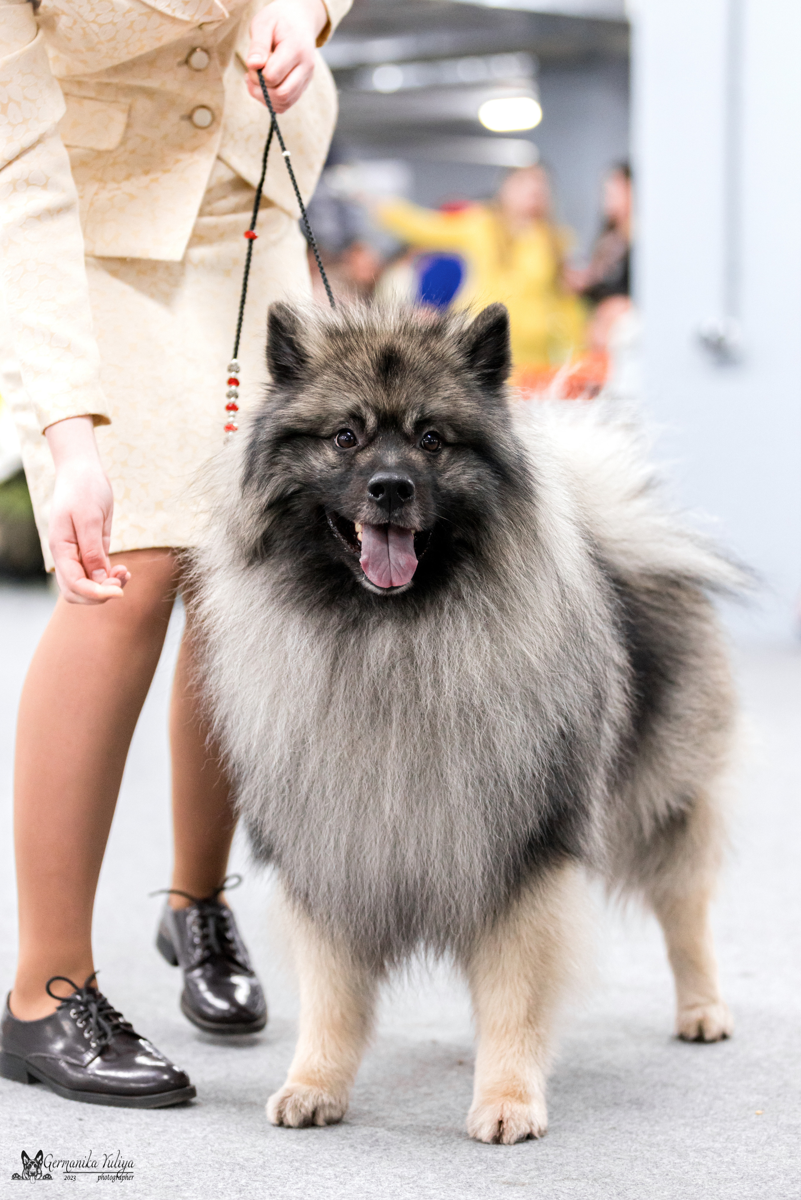 Сфера+МД 8-9.04.2023. Фотограф-анималист Юлия Германика