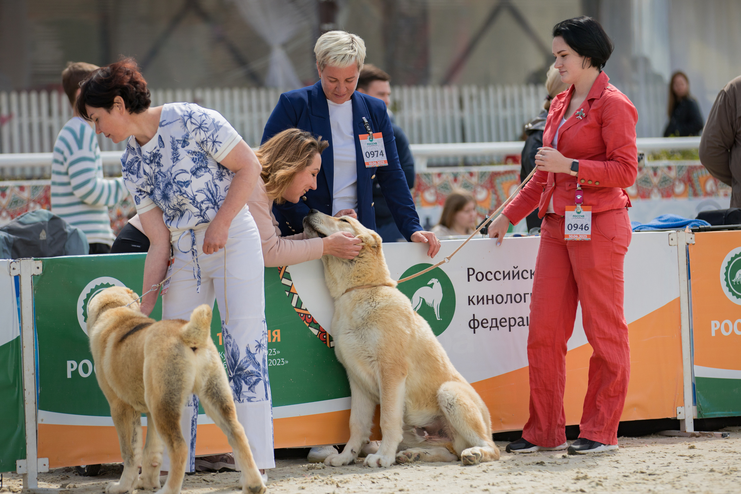 Россия 10-11.06.2023. Фотограф-анималист Юлия Германика