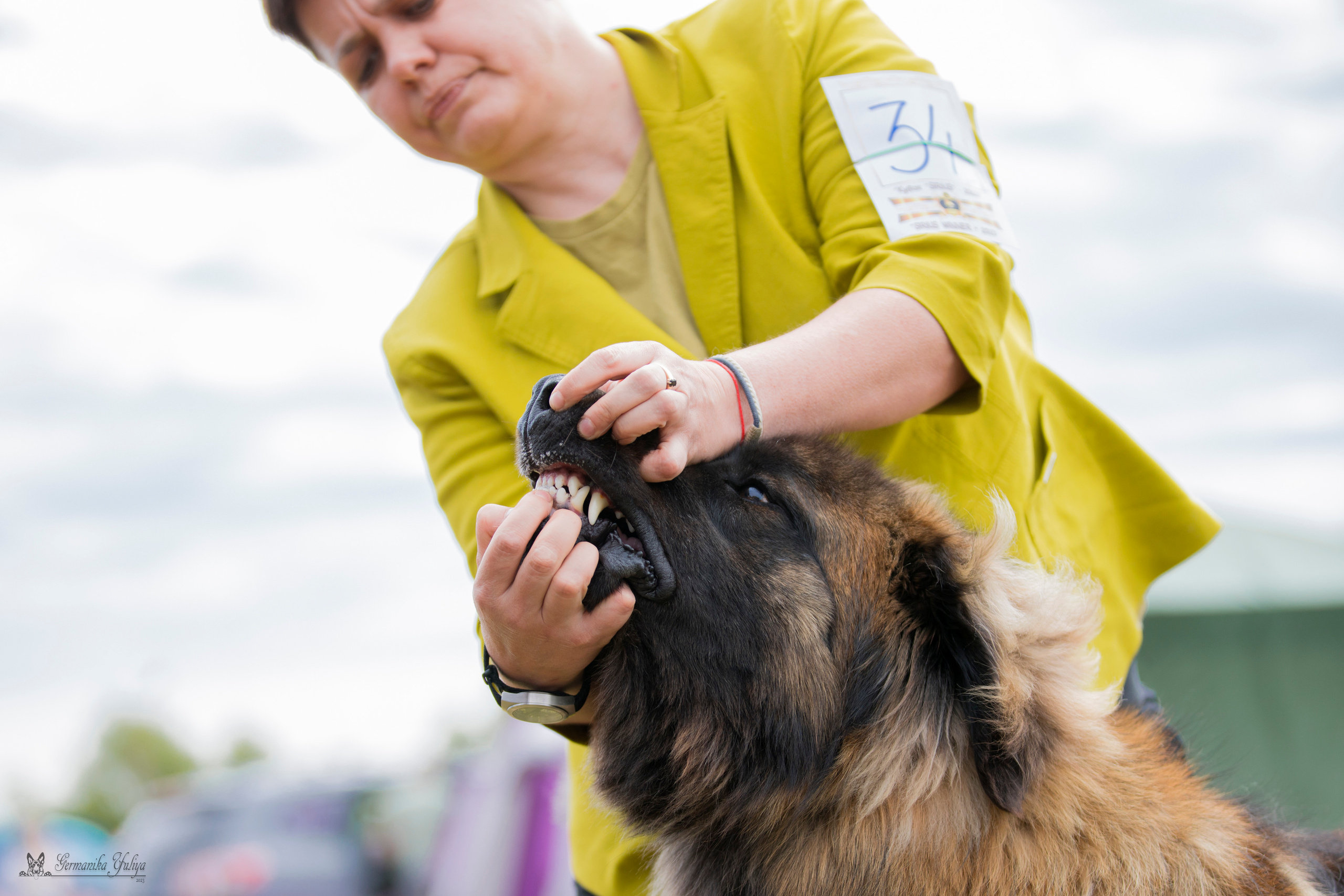 Волжанка 8.07.2023. Фотограф-анималист Юлия Германика