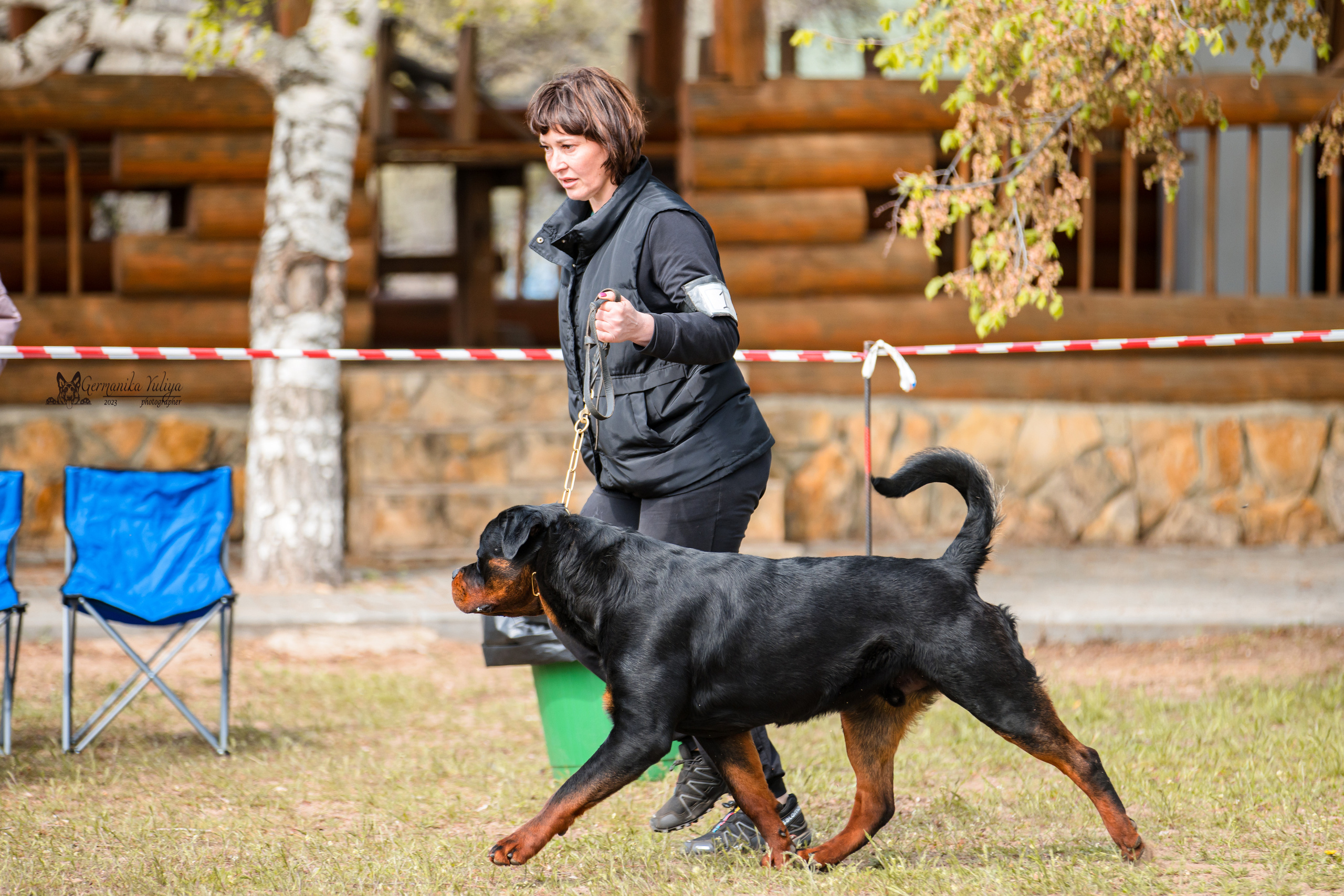 Саратов 2хмоно ротвейлеров 22-23.04.2023. Фотограф-анималист Юлия Германика