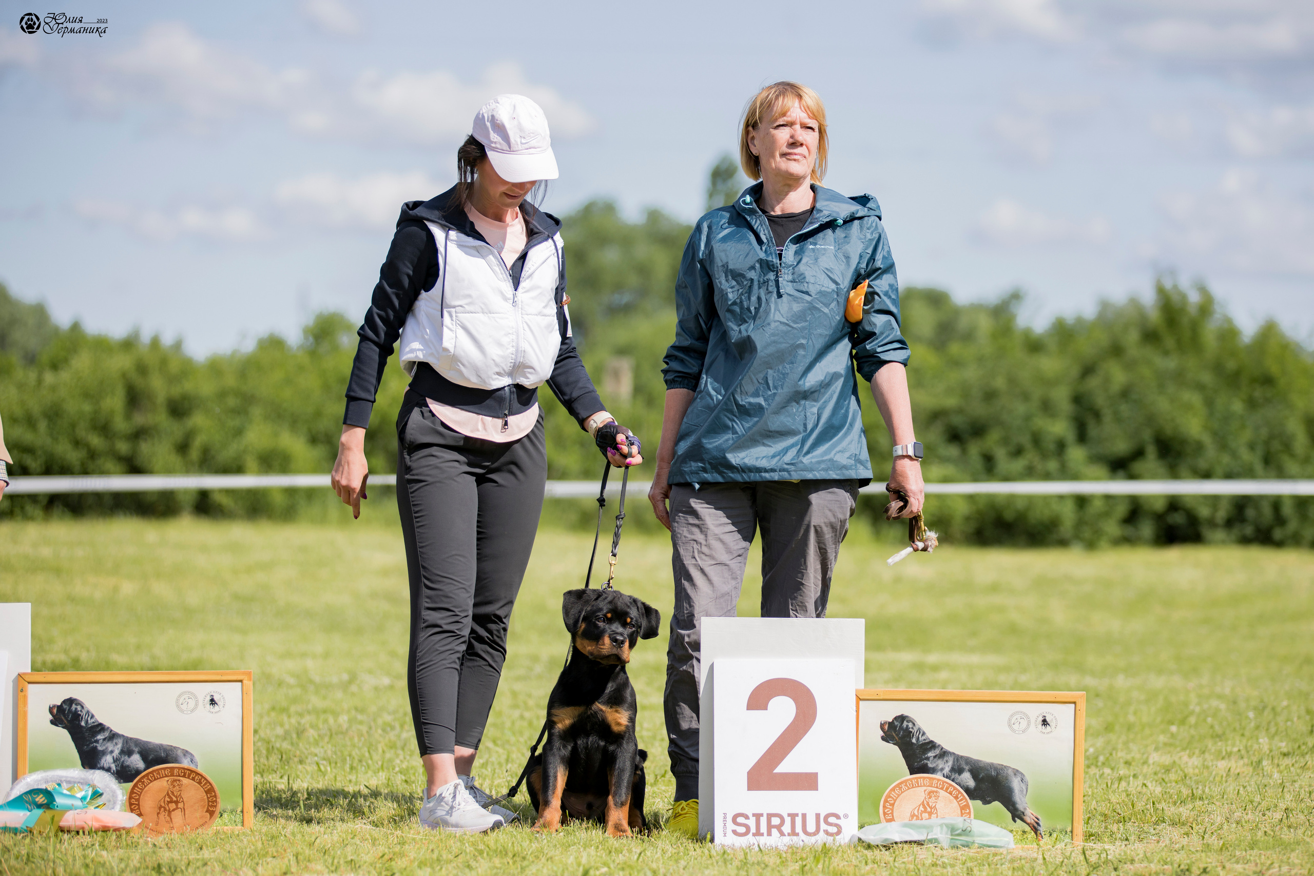 Воронеж 2хмоно ротвейлеров 3-4.06.2023. Фотограф-анималист Юлия Германика