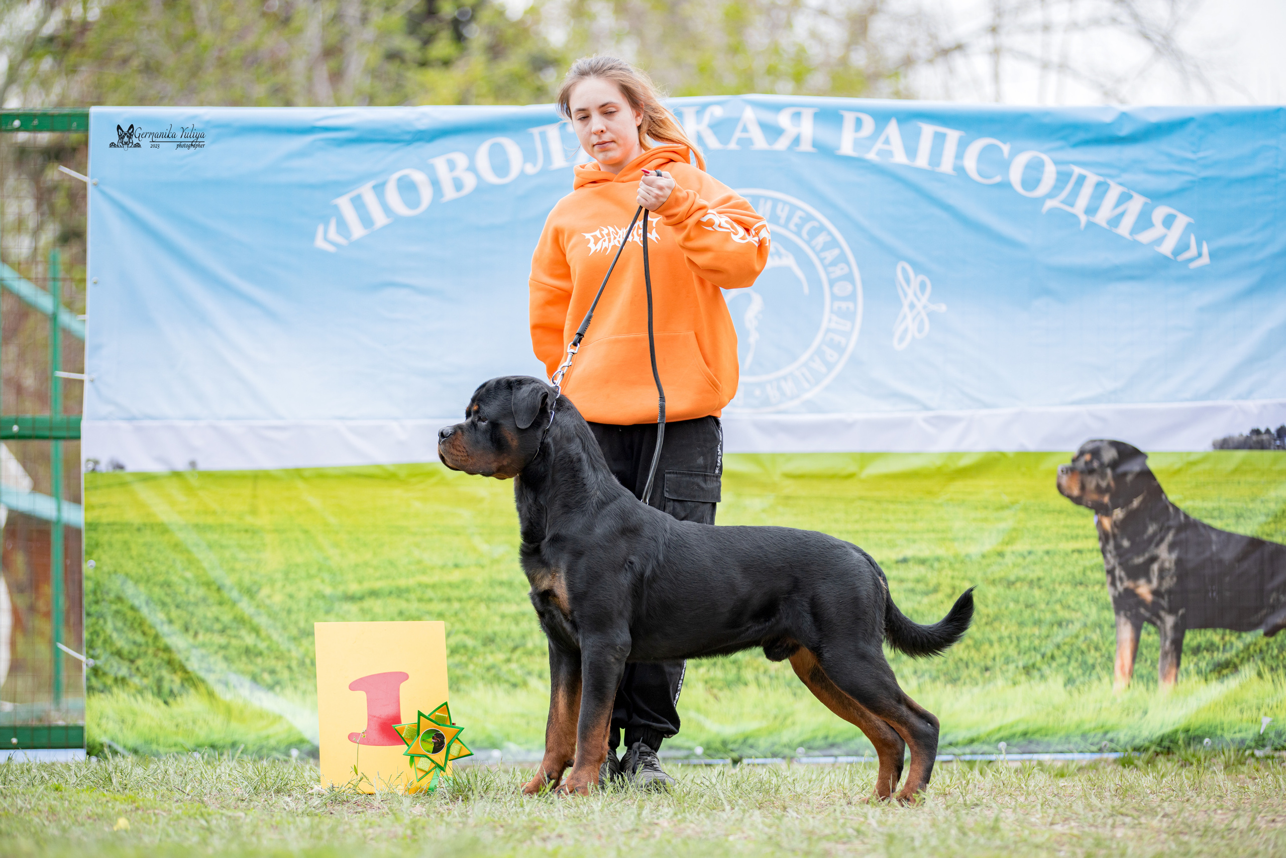 Саратов 2хмоно ротвейлеров 22-23.04.2023. Фотограф-анималист Юлия Германика