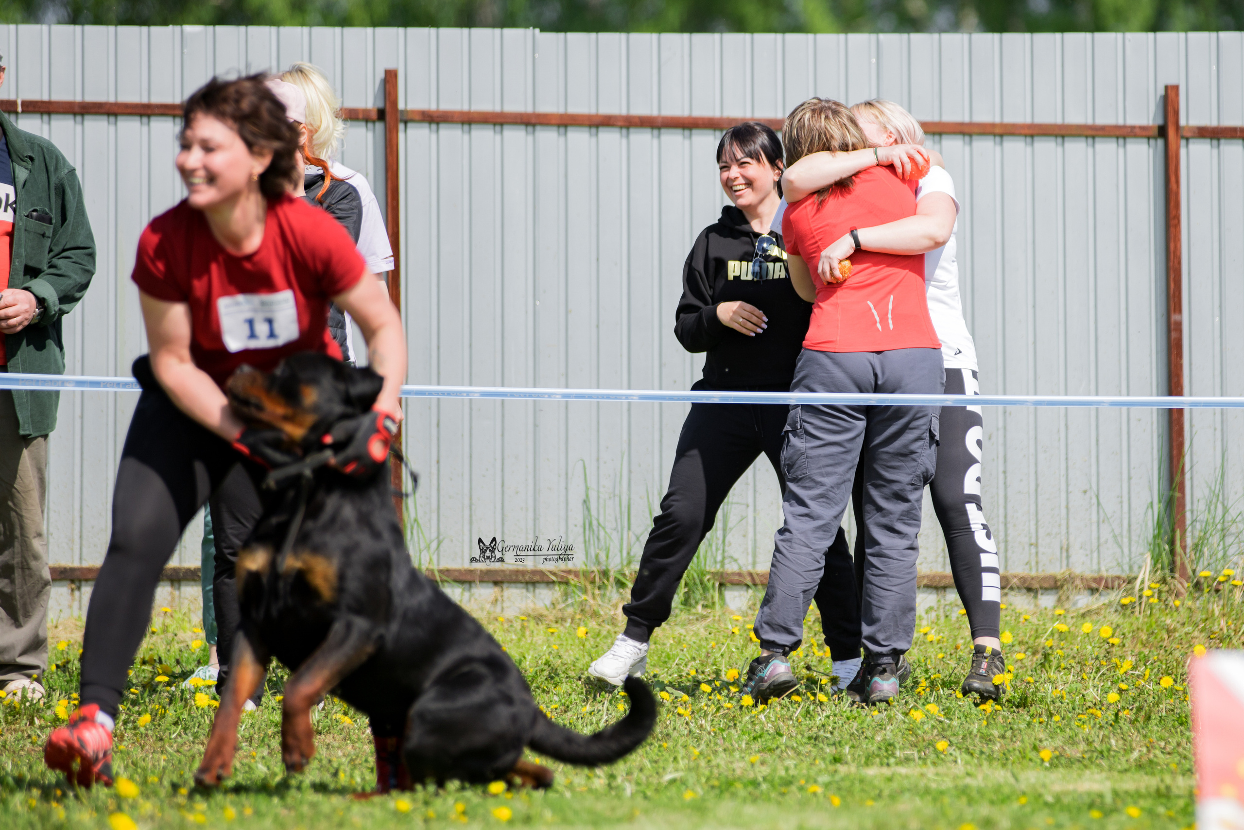Нижний Новгород моно ротвейлеров 13.05.2023. Фотограф-анималист Юлия Германика