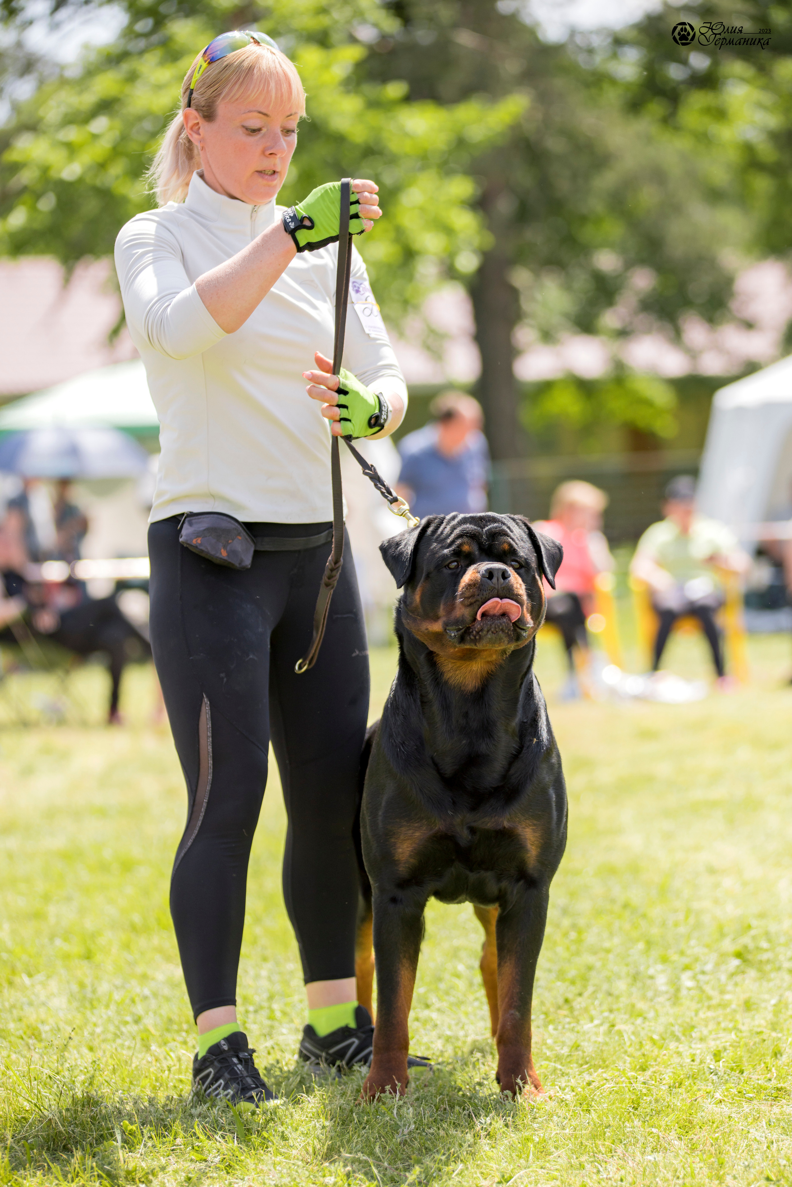 Воронеж 2хмоно ротвейлеров 3-4.06.2023. Фотограф-анималист Юлия Германика