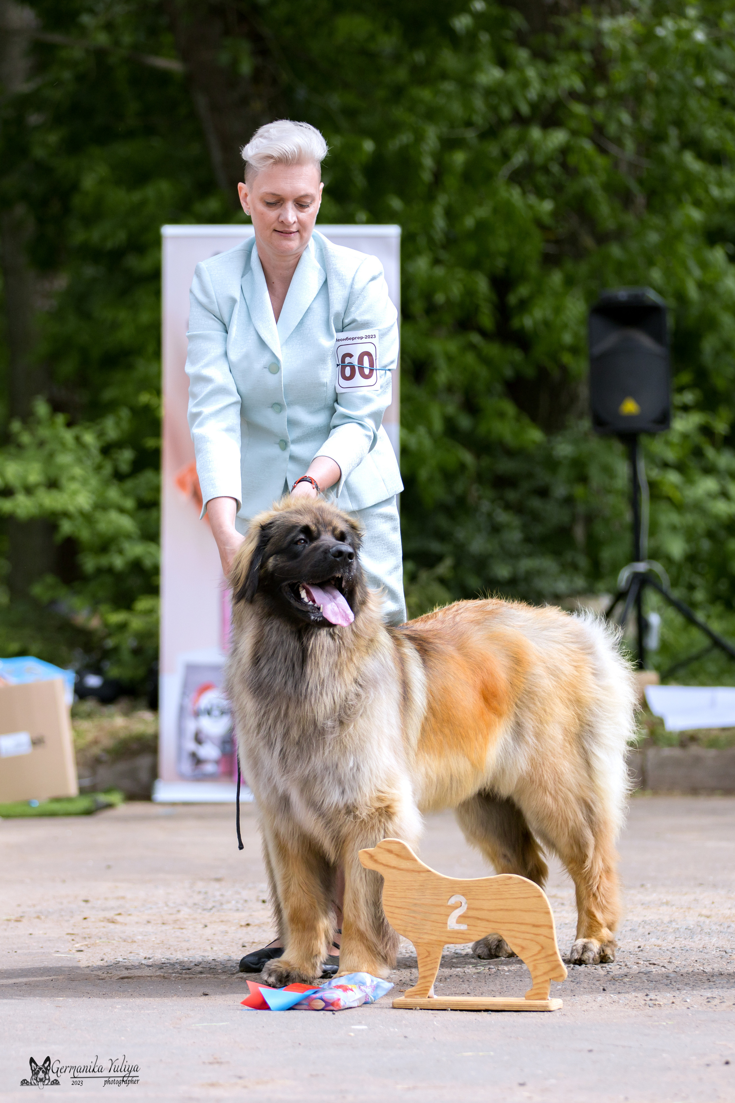 Националка Леонбергеров 28.05.2023. Фотограф-анималист Юлия Германика