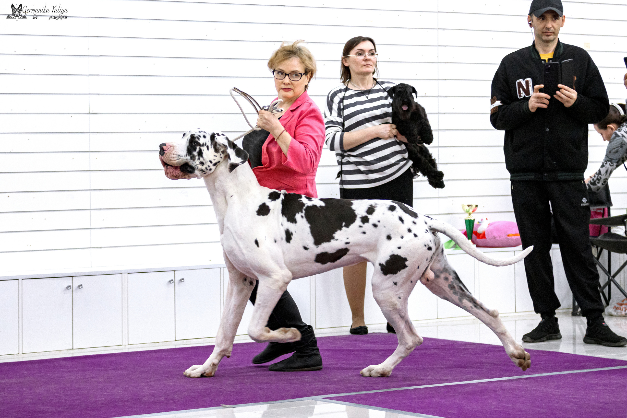 Сфера+МД 8-9.04.2023. Фотограф-анималист Юлия Германика