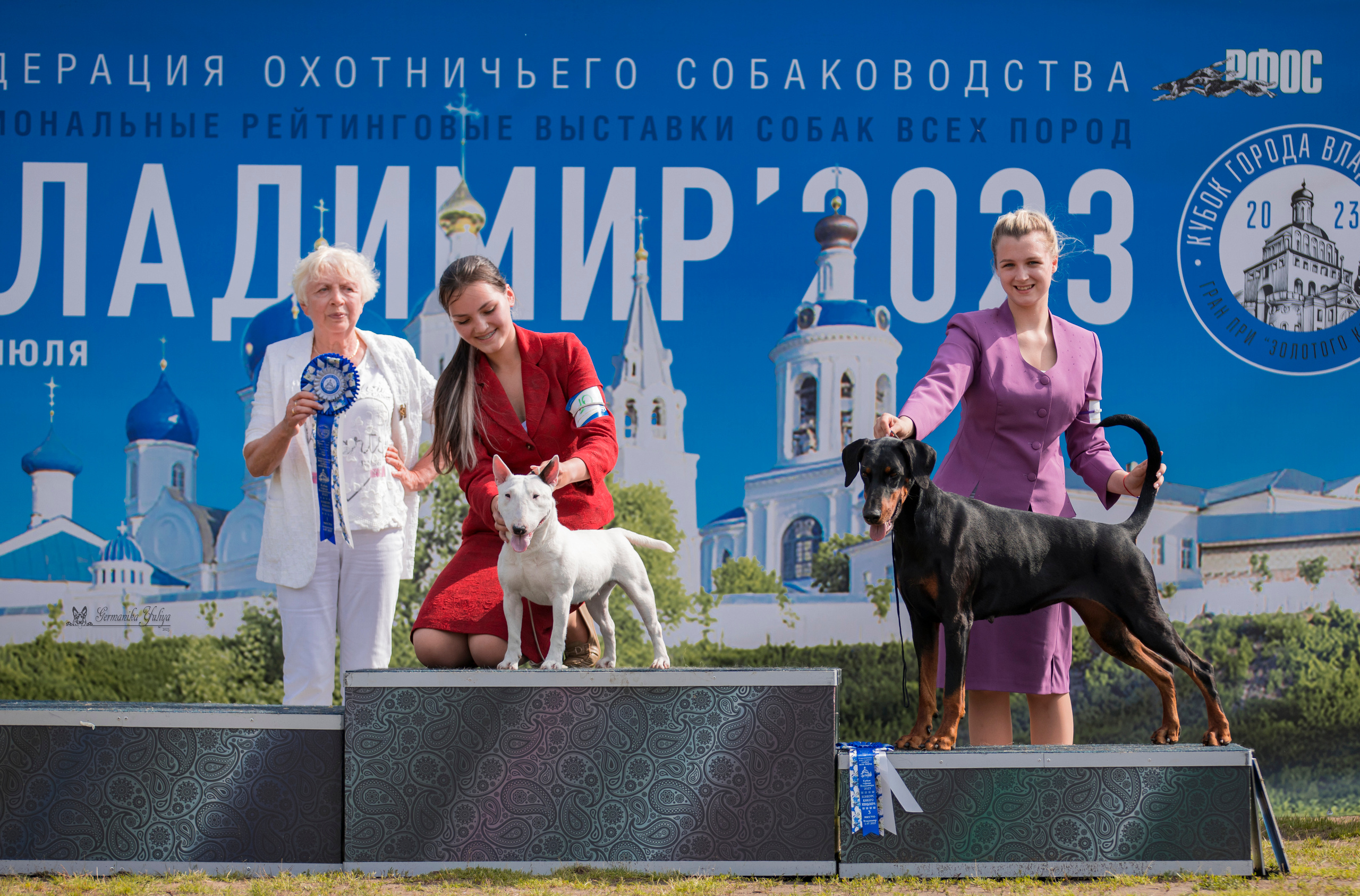 Владимир 1-2.07.2023. Фотограф-анималист Юлия Германика