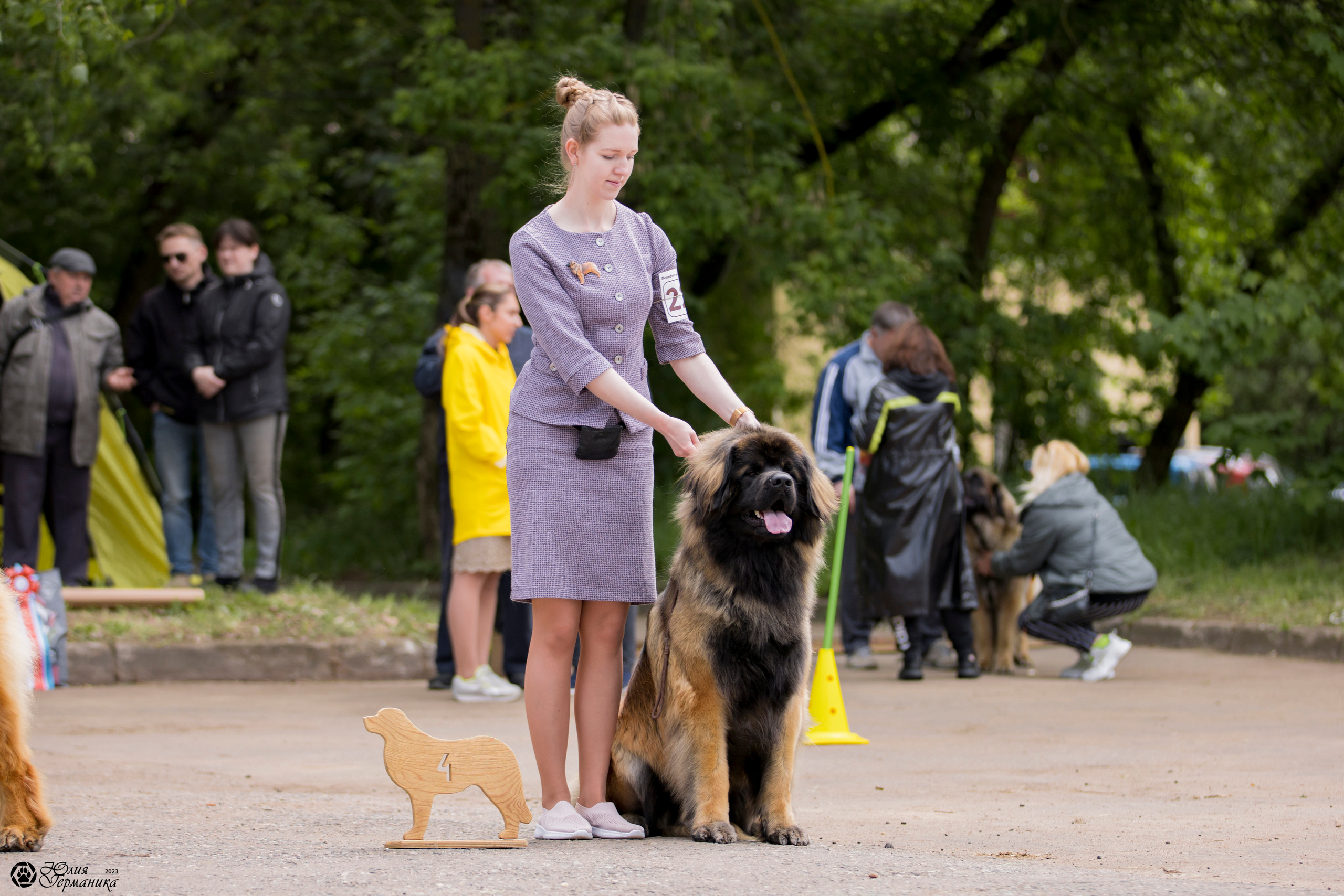 Националка Леонбергеров 28.05.2023. Фотограф-анималист Юлия Германика