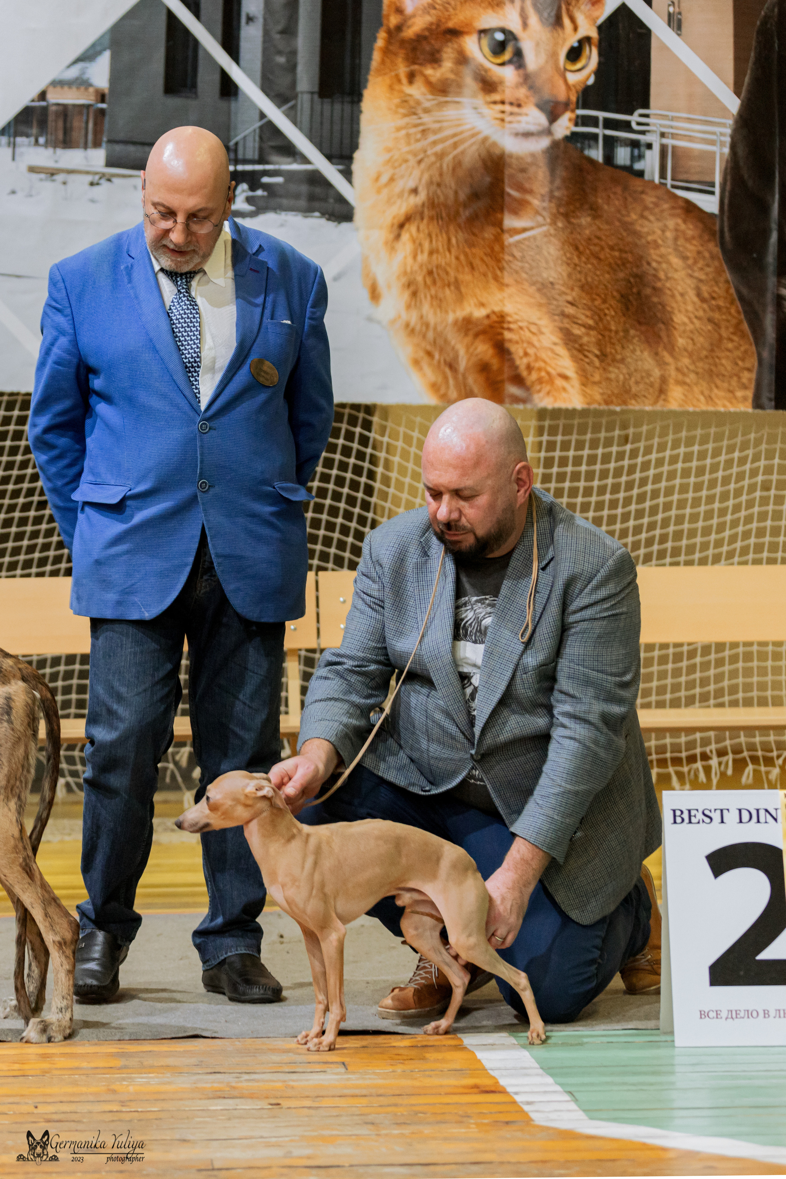 Тверь 01.04.2023. Фотограф-анималист Юлия Германика