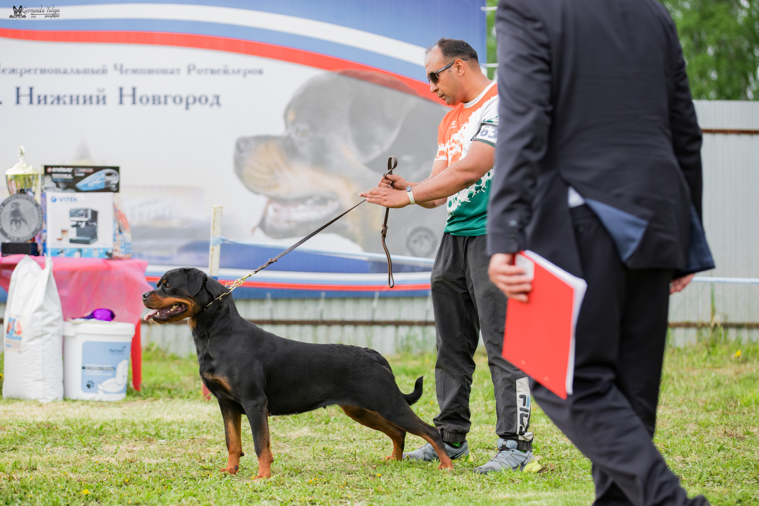 Нижний Новгород моно ротвейлеров 13.05.2023. Фотограф-анималист Юлия Германика