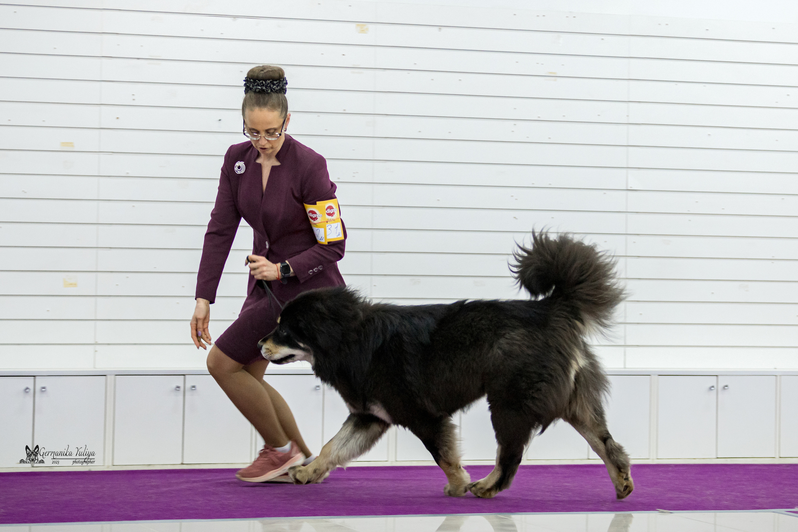 Сфера+МД 8-9.04.2023. Фотограф-анималист Юлия Германика