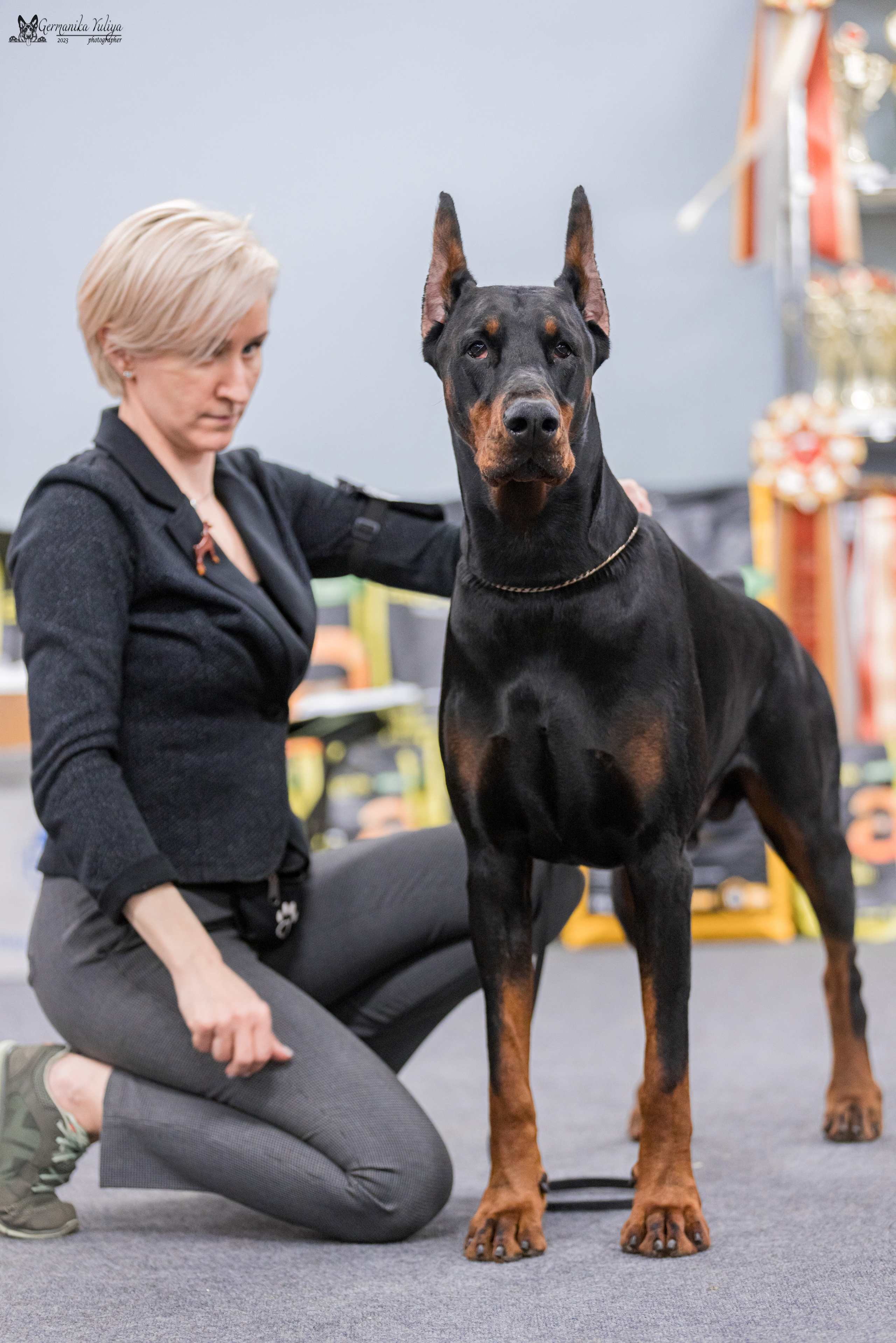 Сфера+доберманы 02.04.2023. Фотограф-анималист Юлия Германика