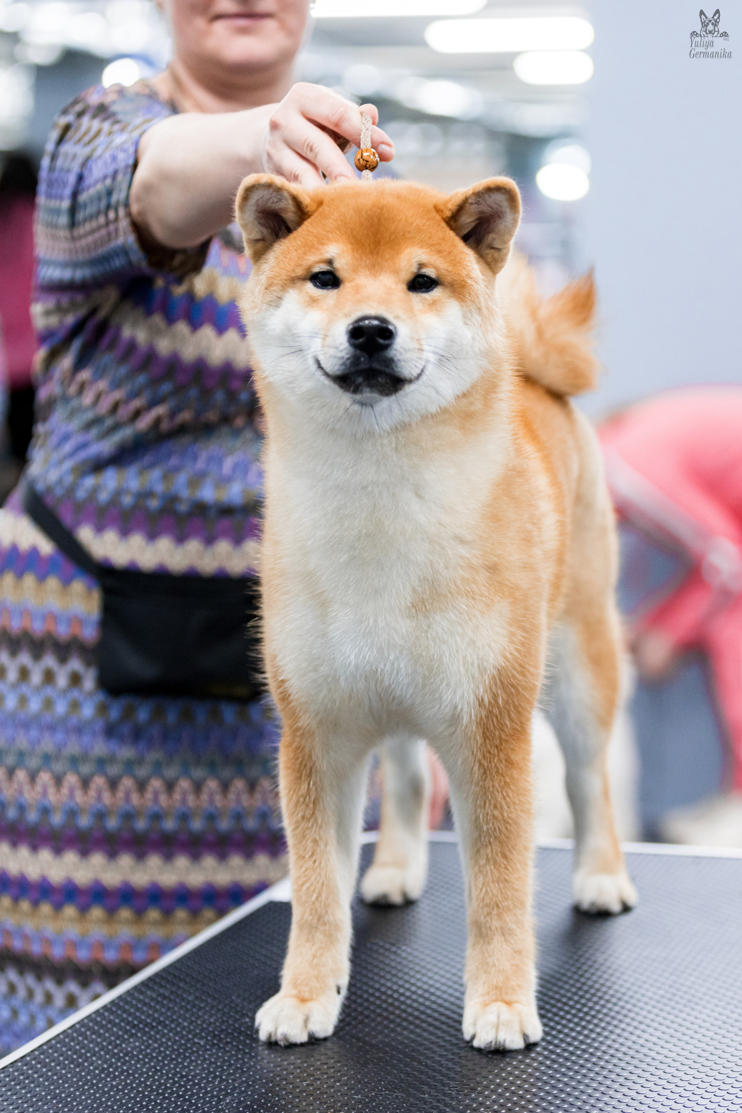 Сфера 25-26.03.2023. Фотограф-анималист Юлия Германика