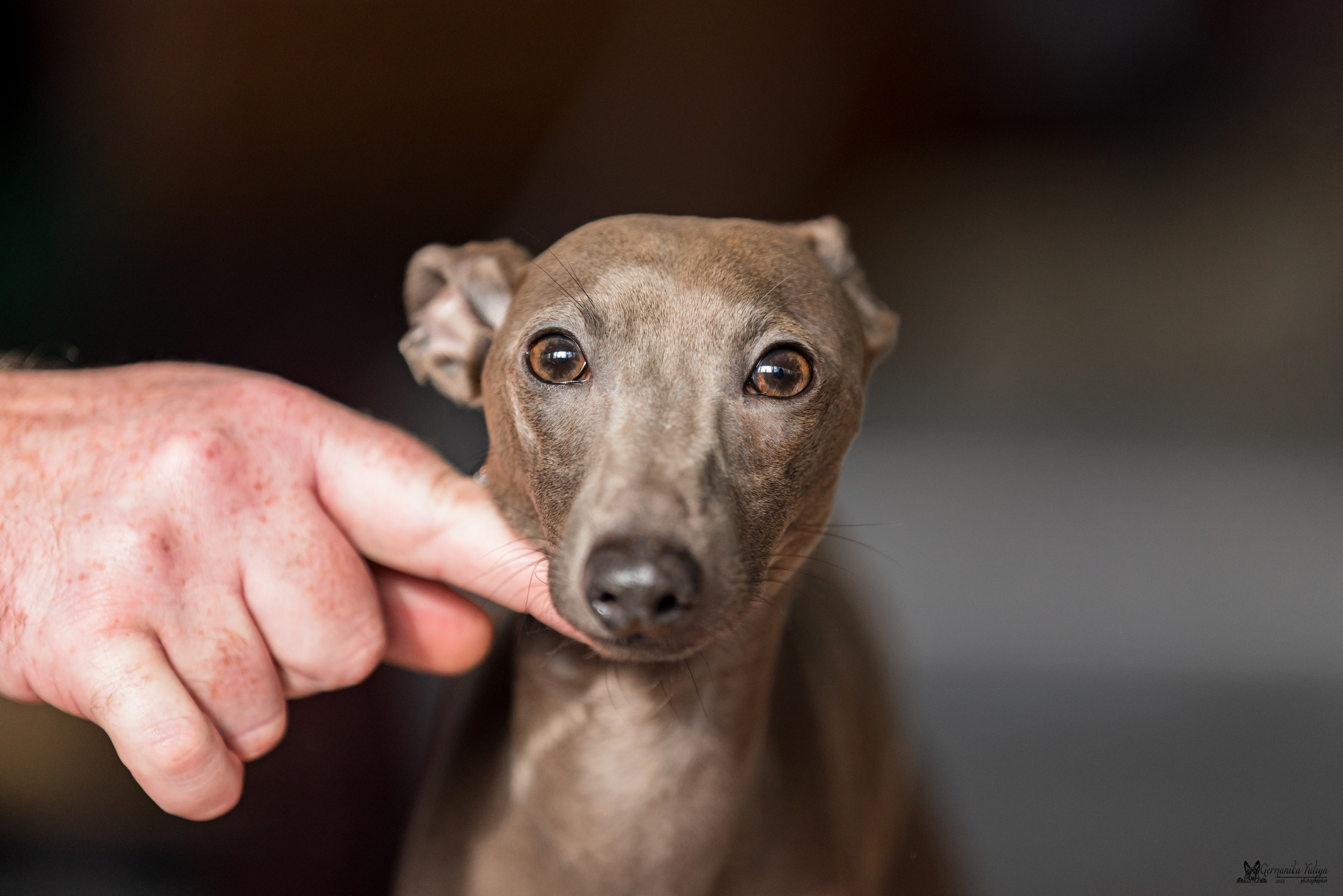 Тверь 01.04.2023. Фотограф-анималист Юлия Германика