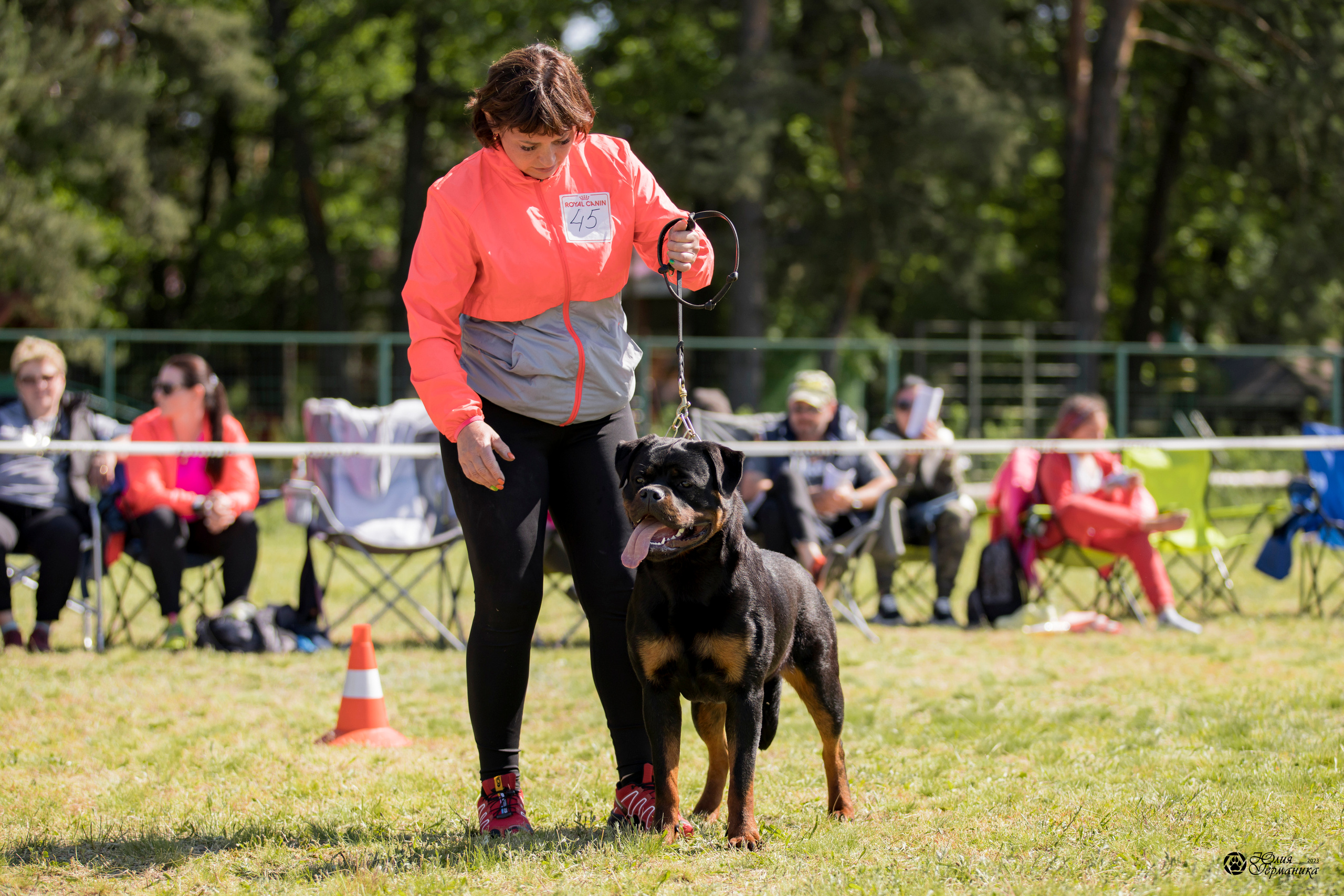 Воронеж 2хмоно ротвейлеров 3-4.06.2023. Фотограф-анималист Юлия Германика