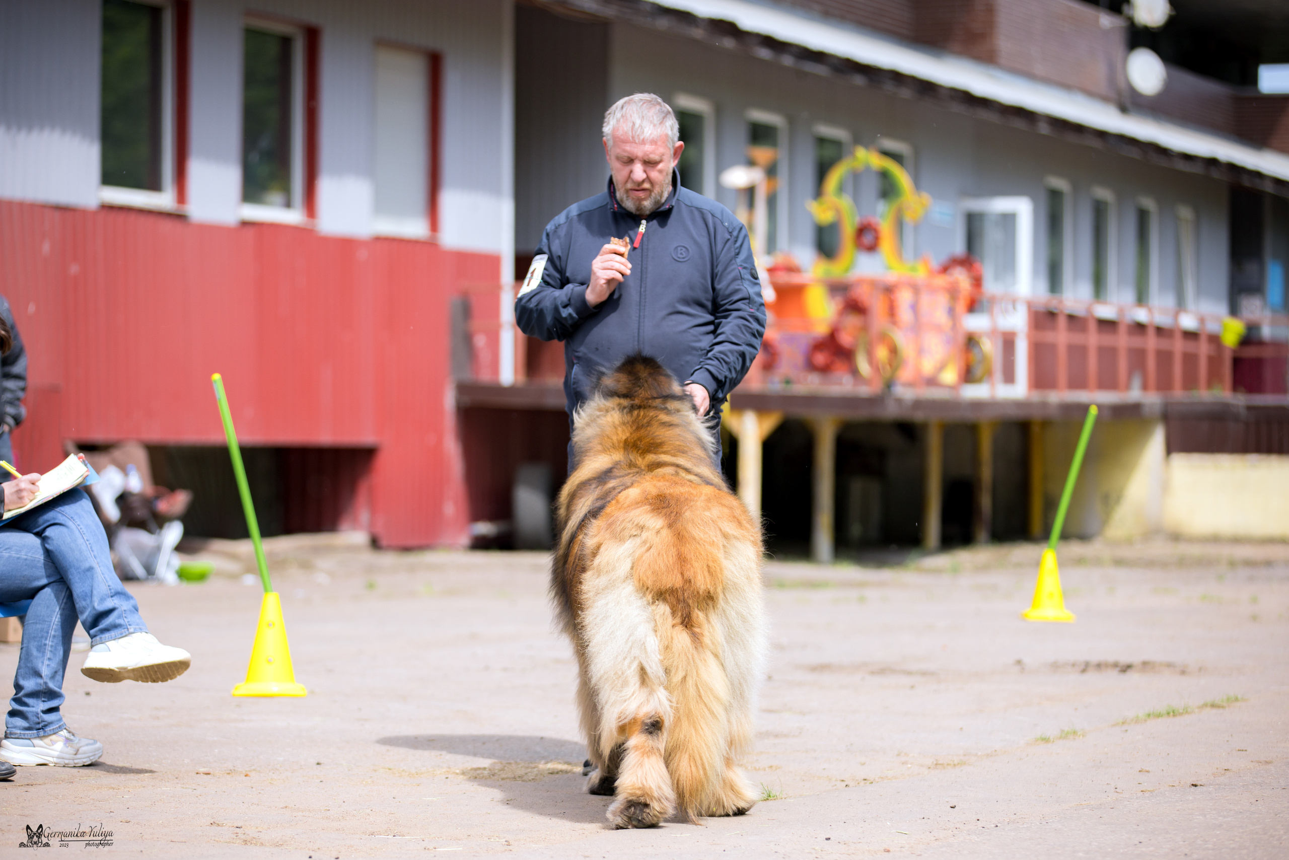 Националка Леонбергеров 28.05.2023. Фотограф-анималист Юлия Германика