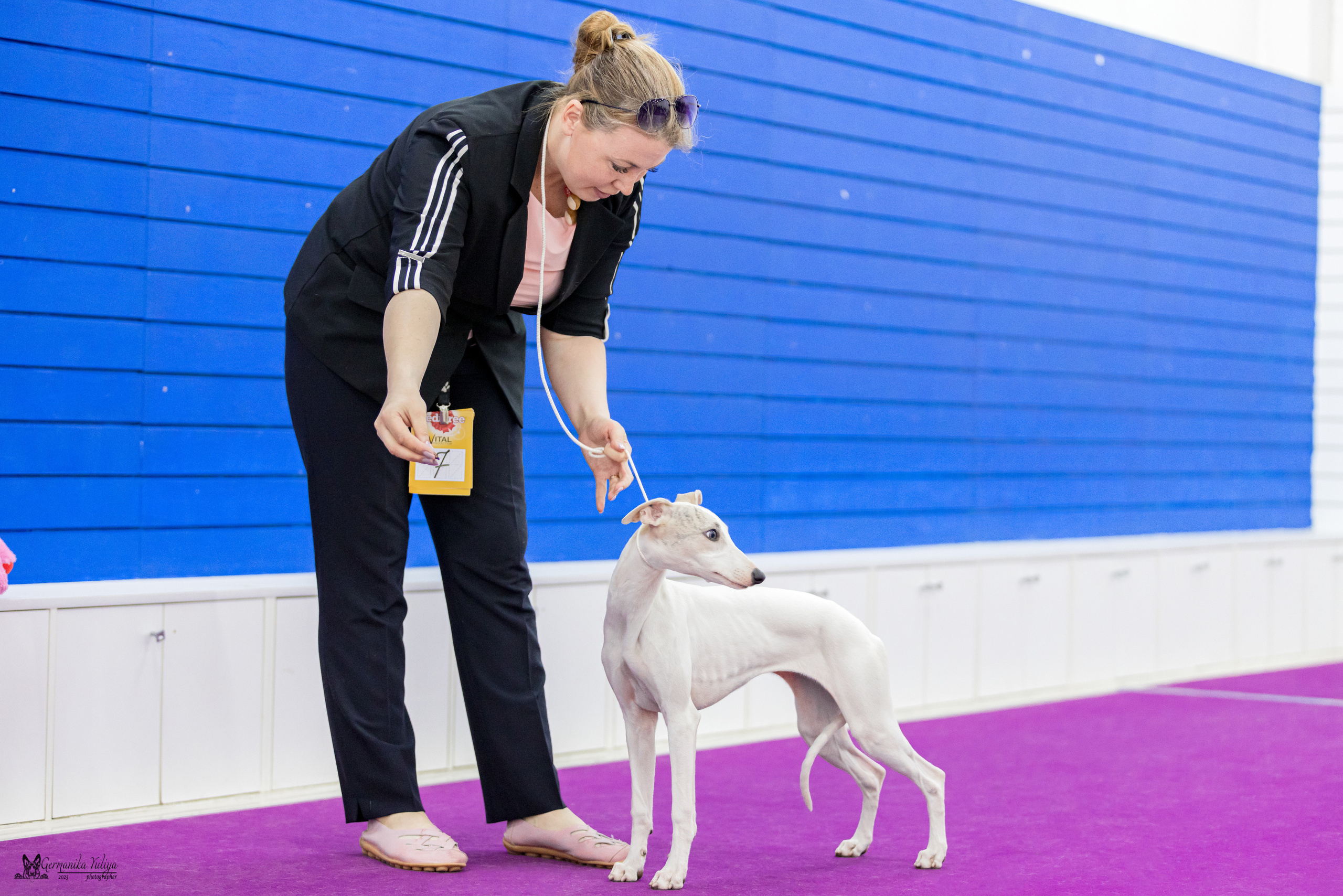 Сфера+МД 8-9.04.2023. Фотограф-анималист Юлия Германика