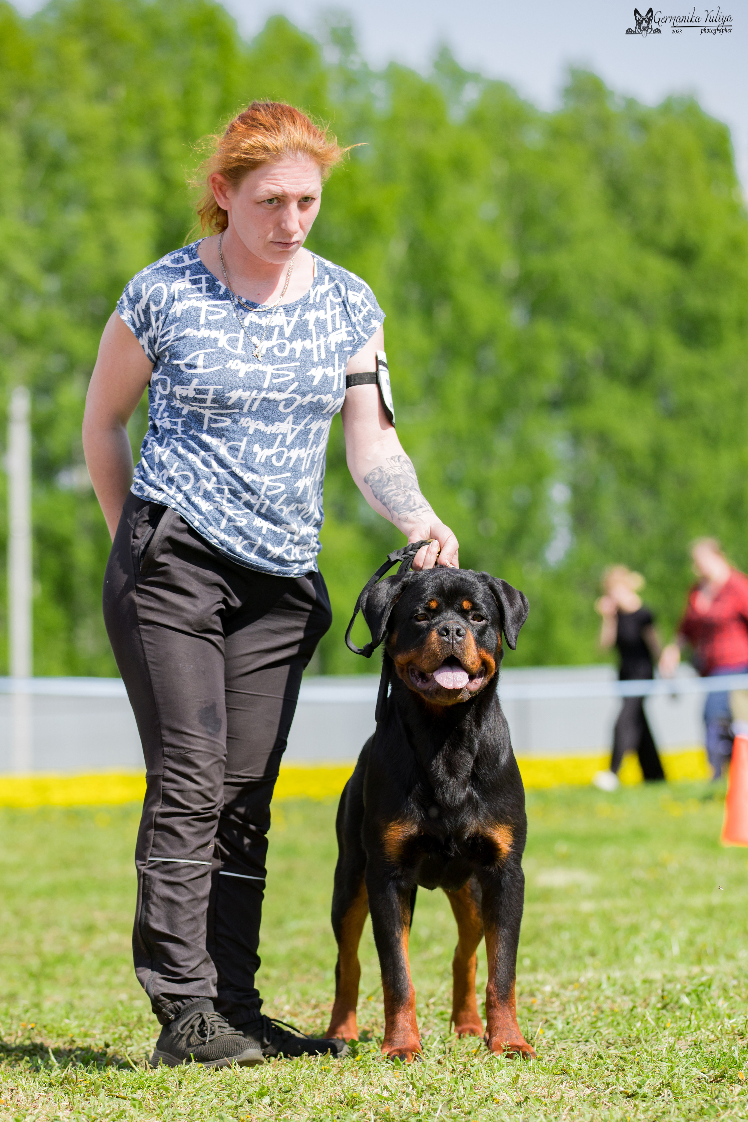 Нижний Новгород моно ротвейлеров 13.05.2023. Фотограф-анималист Юлия Германика