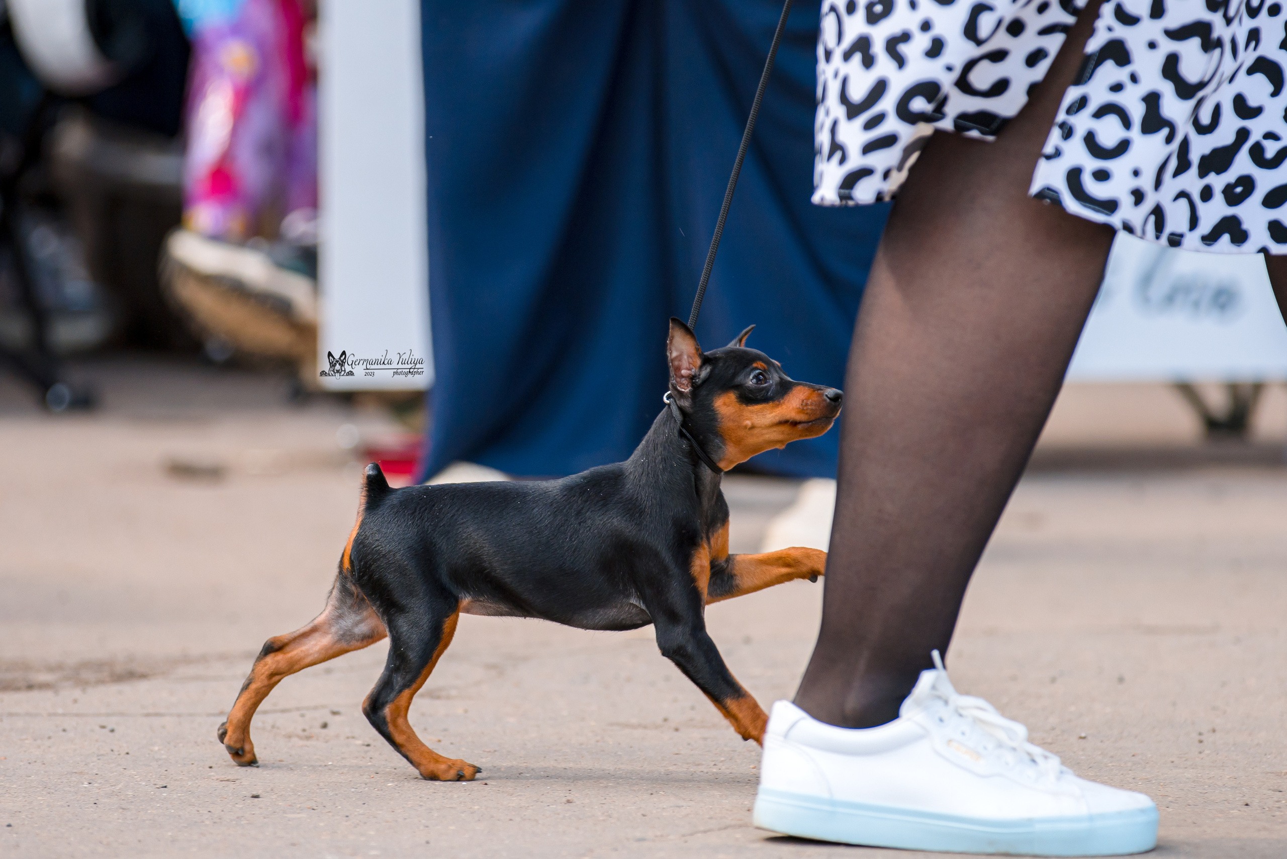 Измайлово 21.05.2023. Фотограф-анималист Юлия Германика