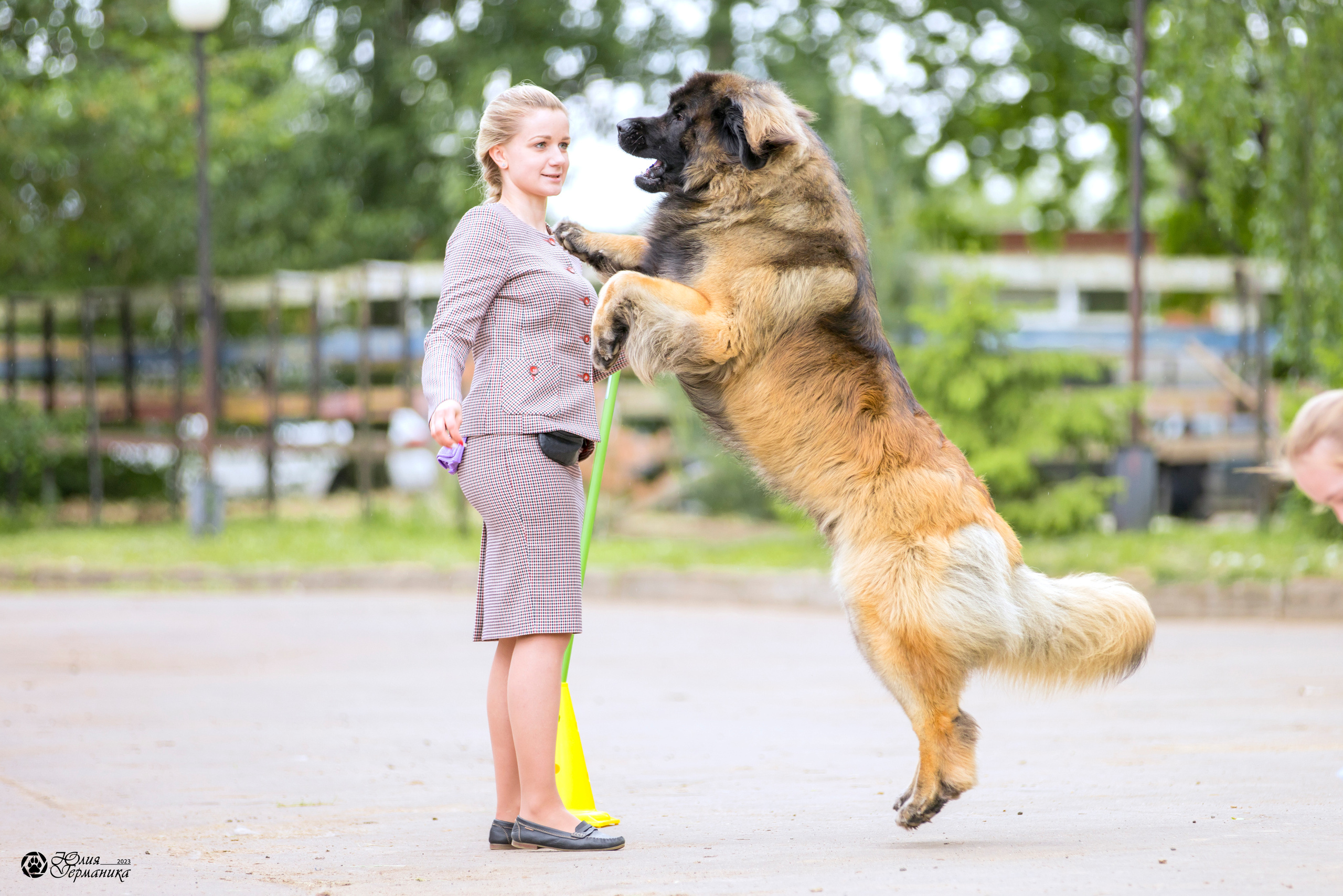 Националка Леонбергеров 28.05.2023. Фотограф-анималист Юлия Германика