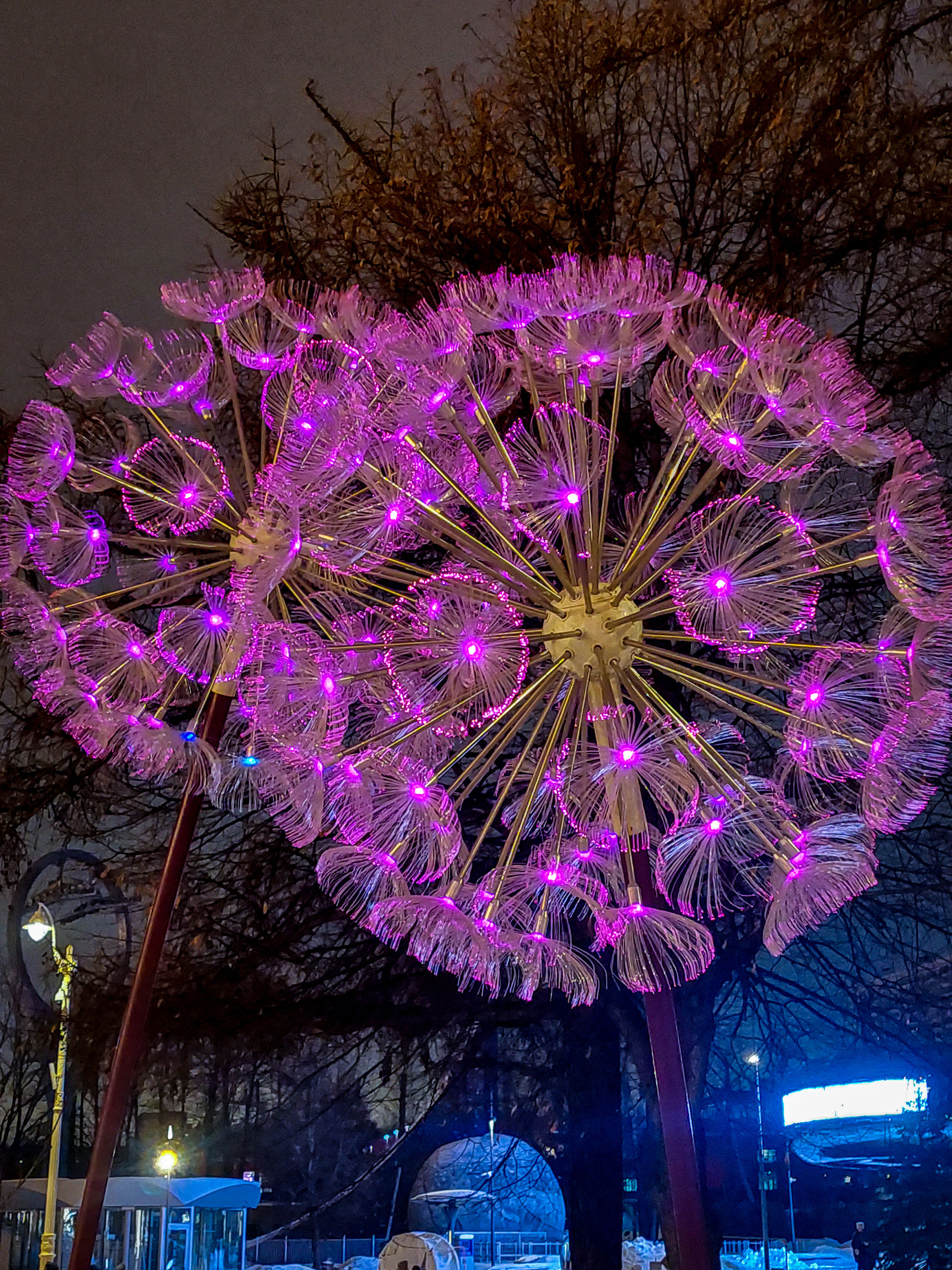 Разные фото на телефон.Города,природа. Фотограф-анималист Юлия Германика