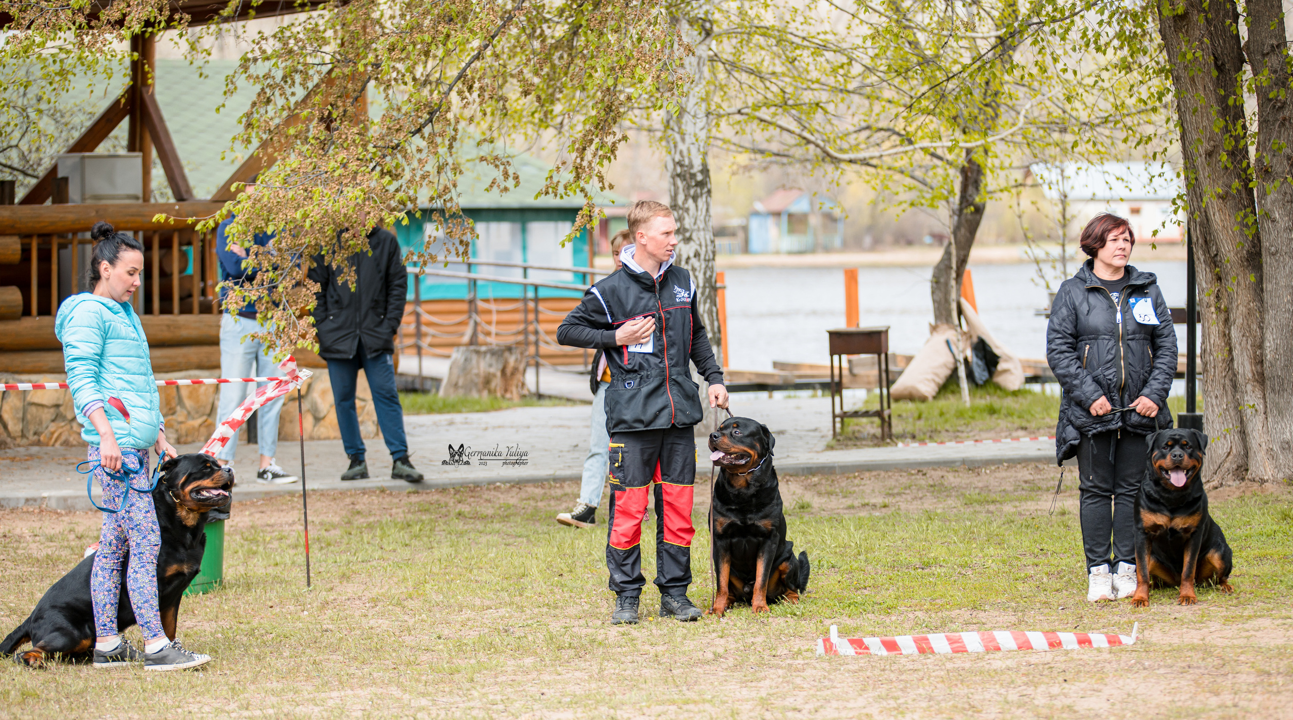 Саратов 2хмоно ротвейлеров 22-23.04.2023. Фотограф-анималист Юлия Германика