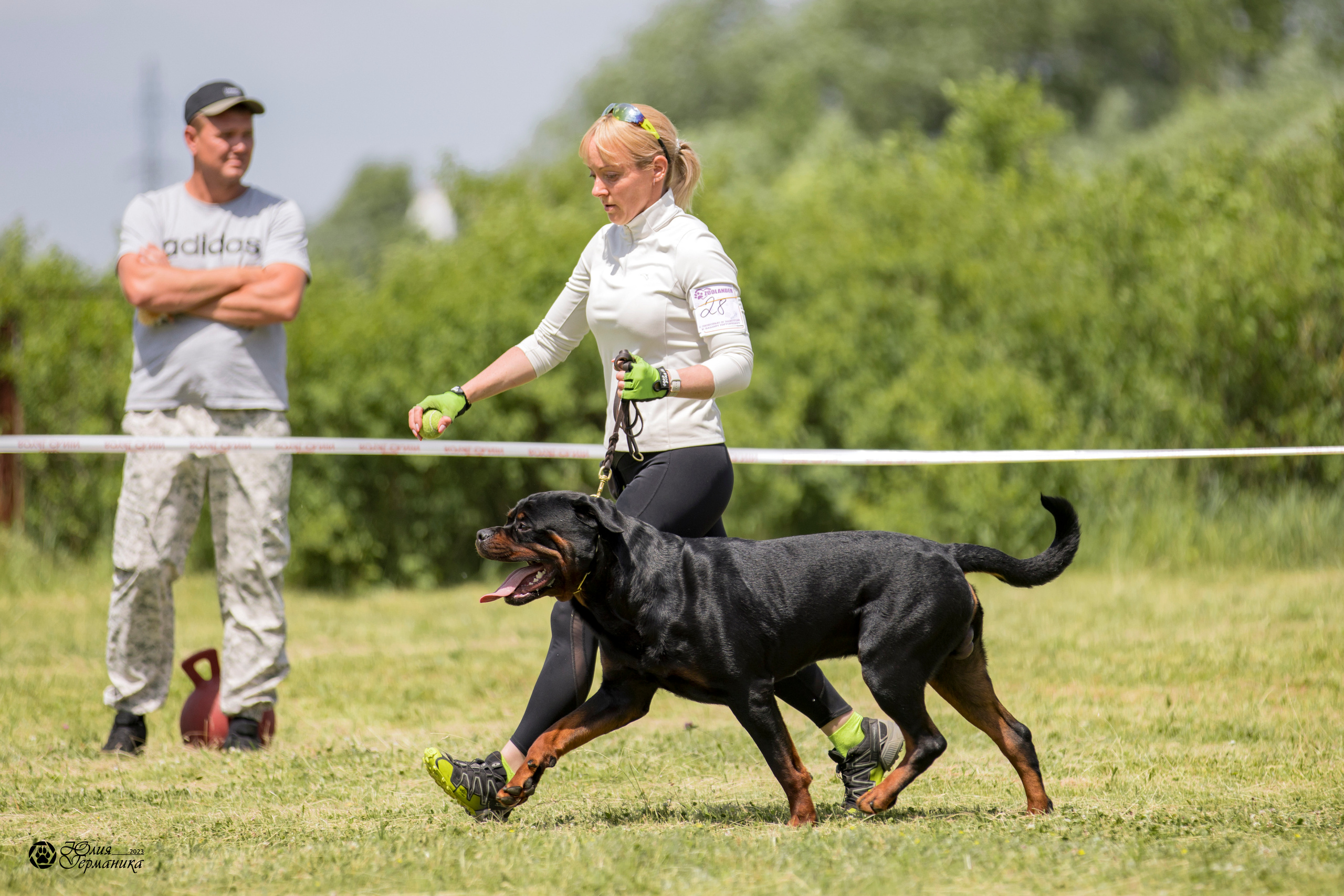 Воронеж 2хмоно ротвейлеров 3-4.06.2023. Фотограф-анималист Юлия Германика