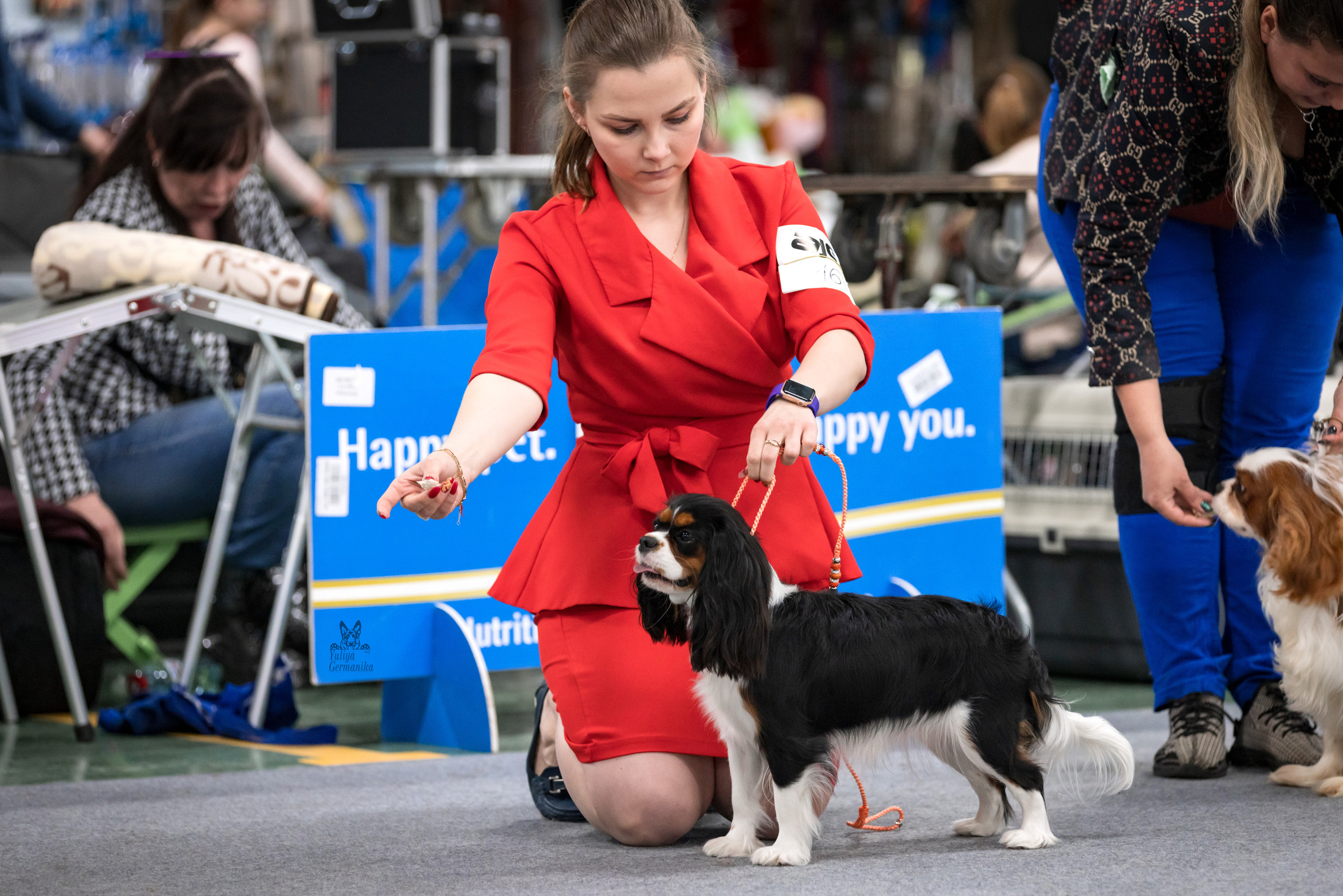 Сфера 25-26.03.2023. Фотограф-анималист Юлия Германика
