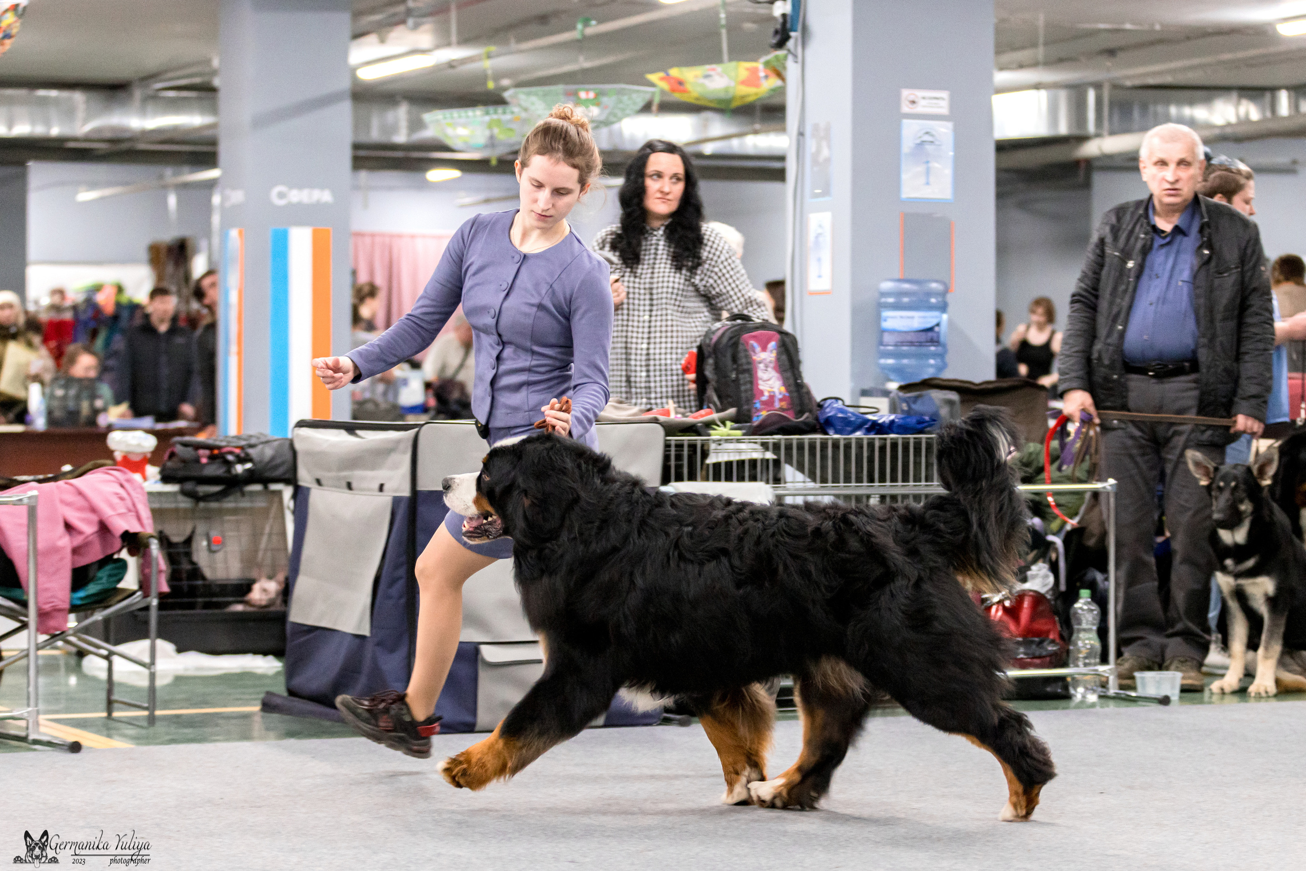 Сфера+МД 8-9.04.2023. Фотограф-анималист Юлия Германика