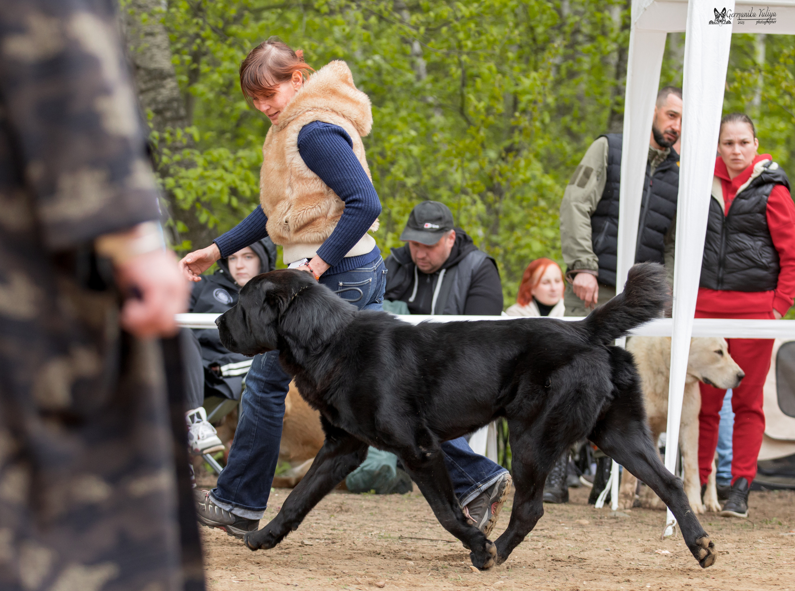 Сокольники 1.05.2023. Фотограф-анималист Юлия Германика