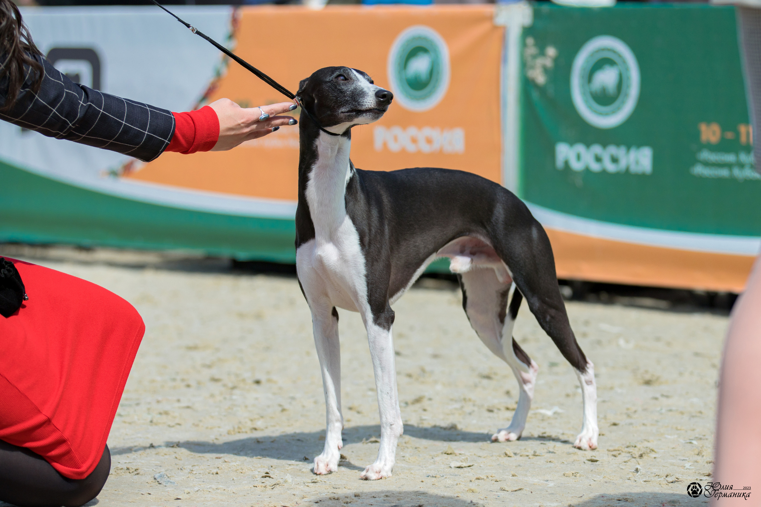 Россия 10-11.06.2023. Фотограф-анималист Юлия Германика