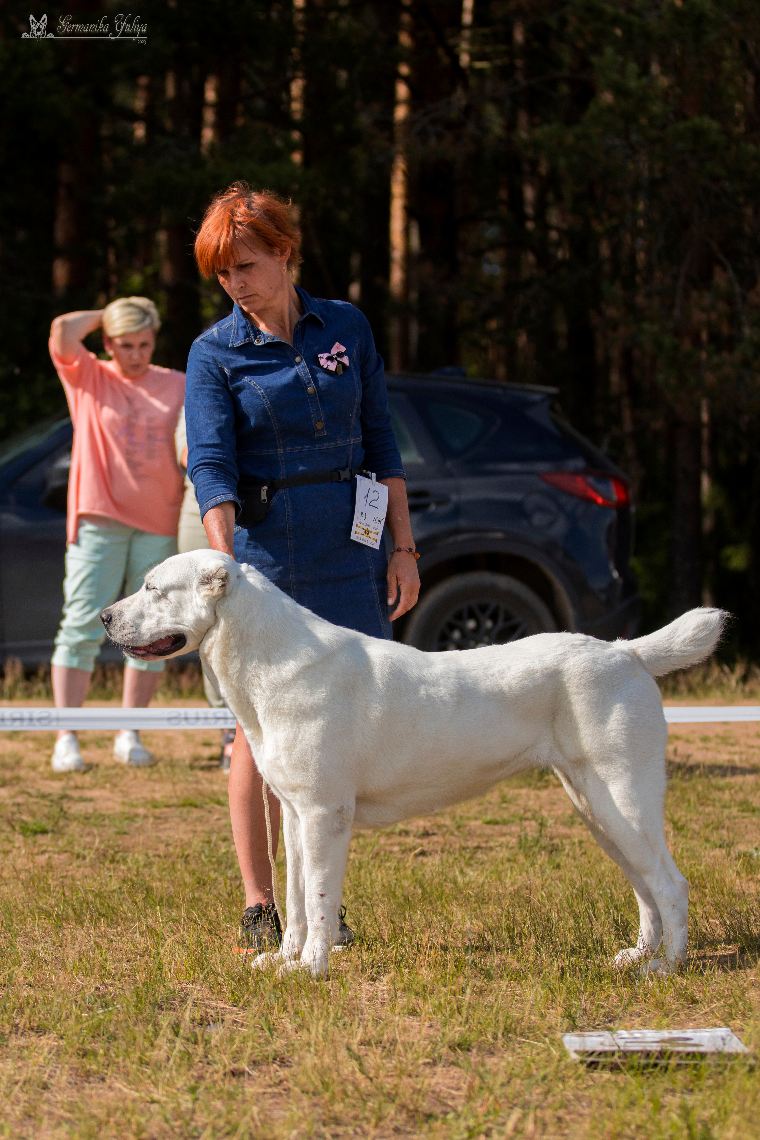 Волжанка 8.07.2023. Фотограф-анималист Юлия Германика