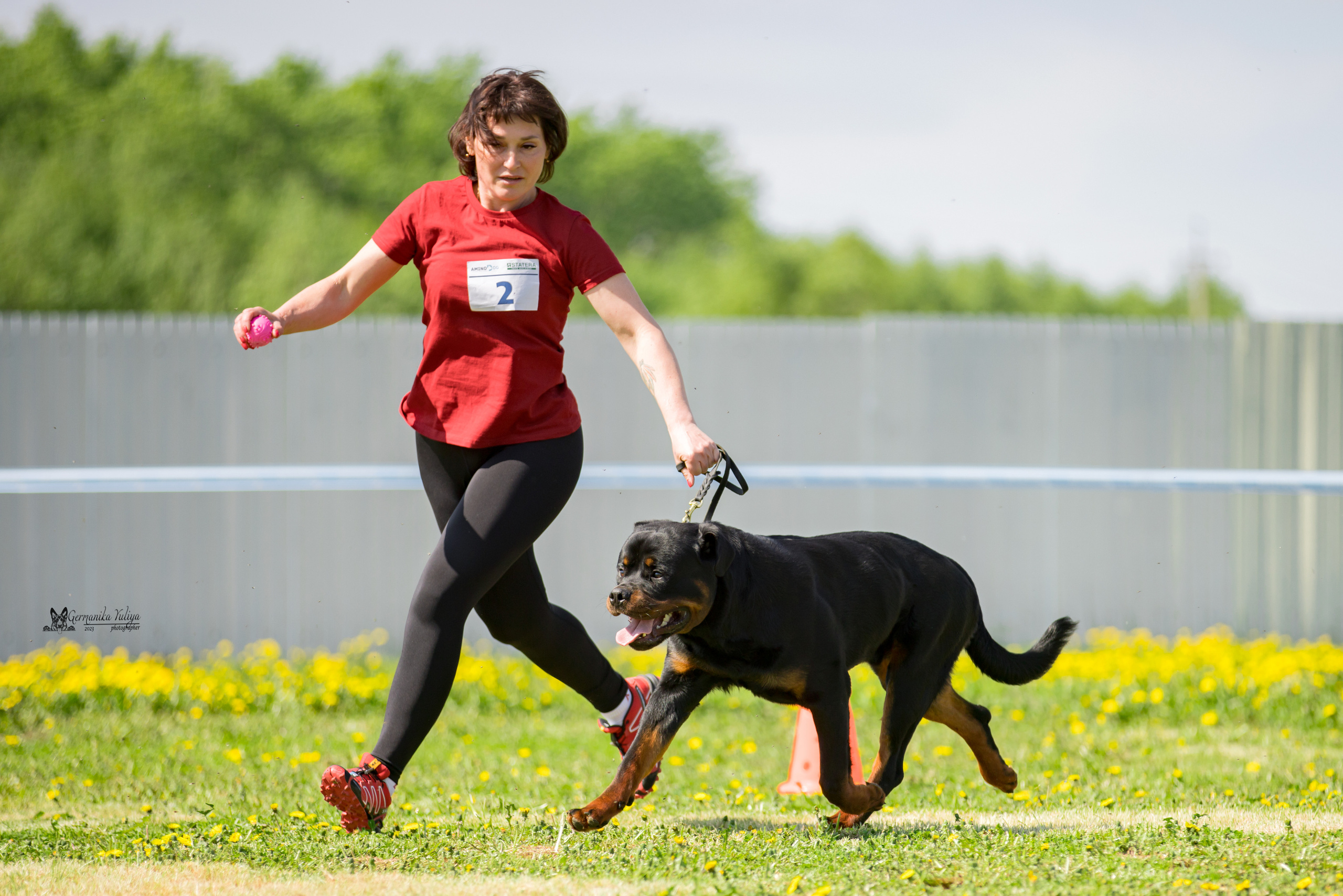 Нижний Новгород моно ротвейлеров 13.05.2023. Фотограф-анималист Юлия Германика